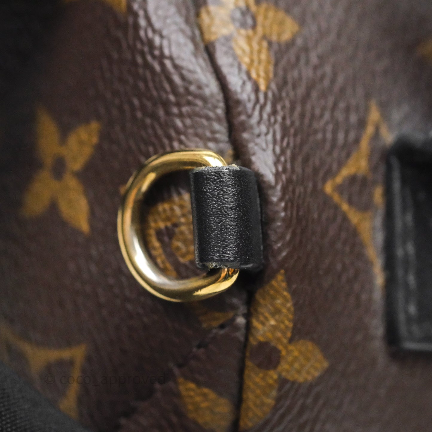 Louis Vuitton Mini Palm Springs Backpack⁣ Monogram