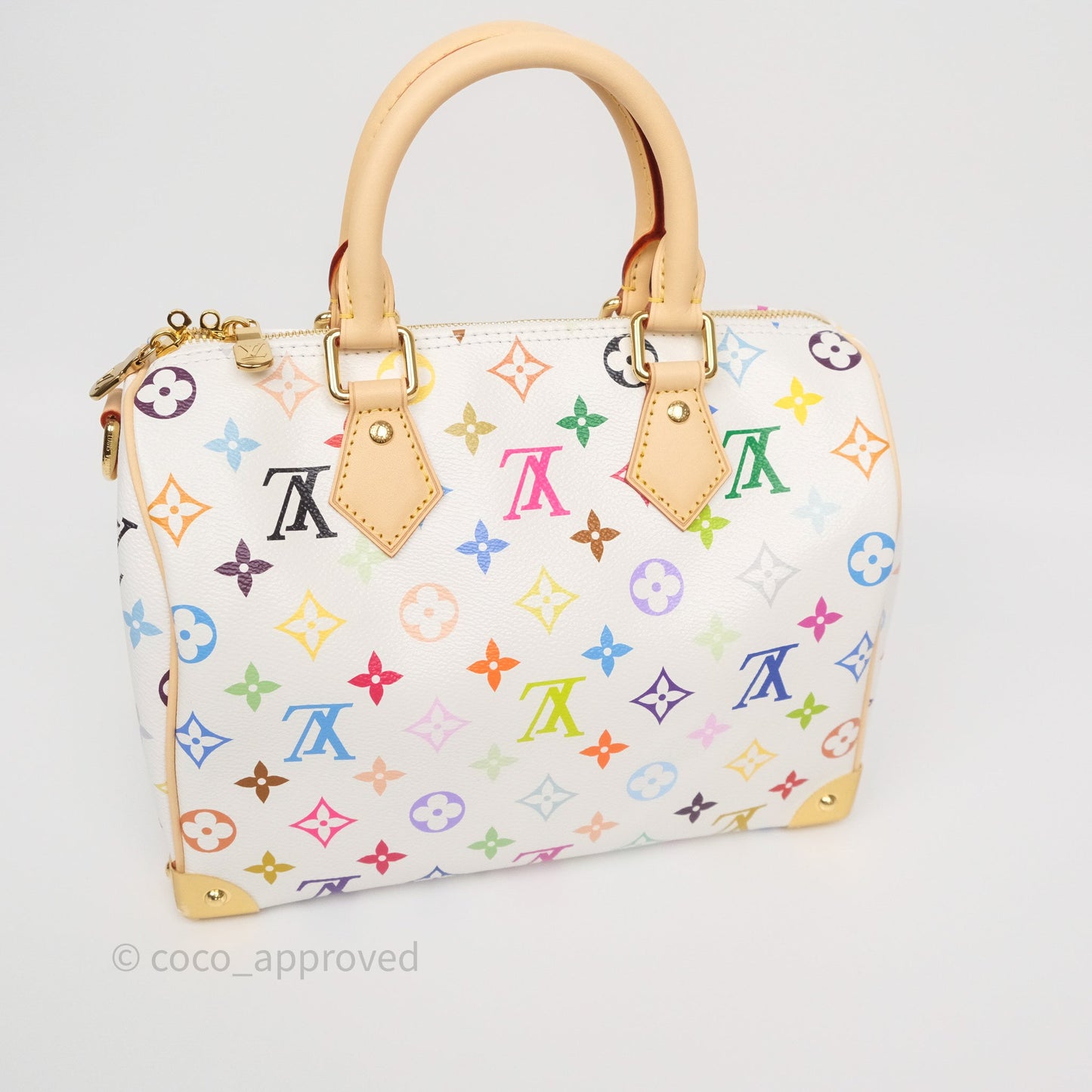 Louis Vuitton x TM Speedy Bandoulière 25