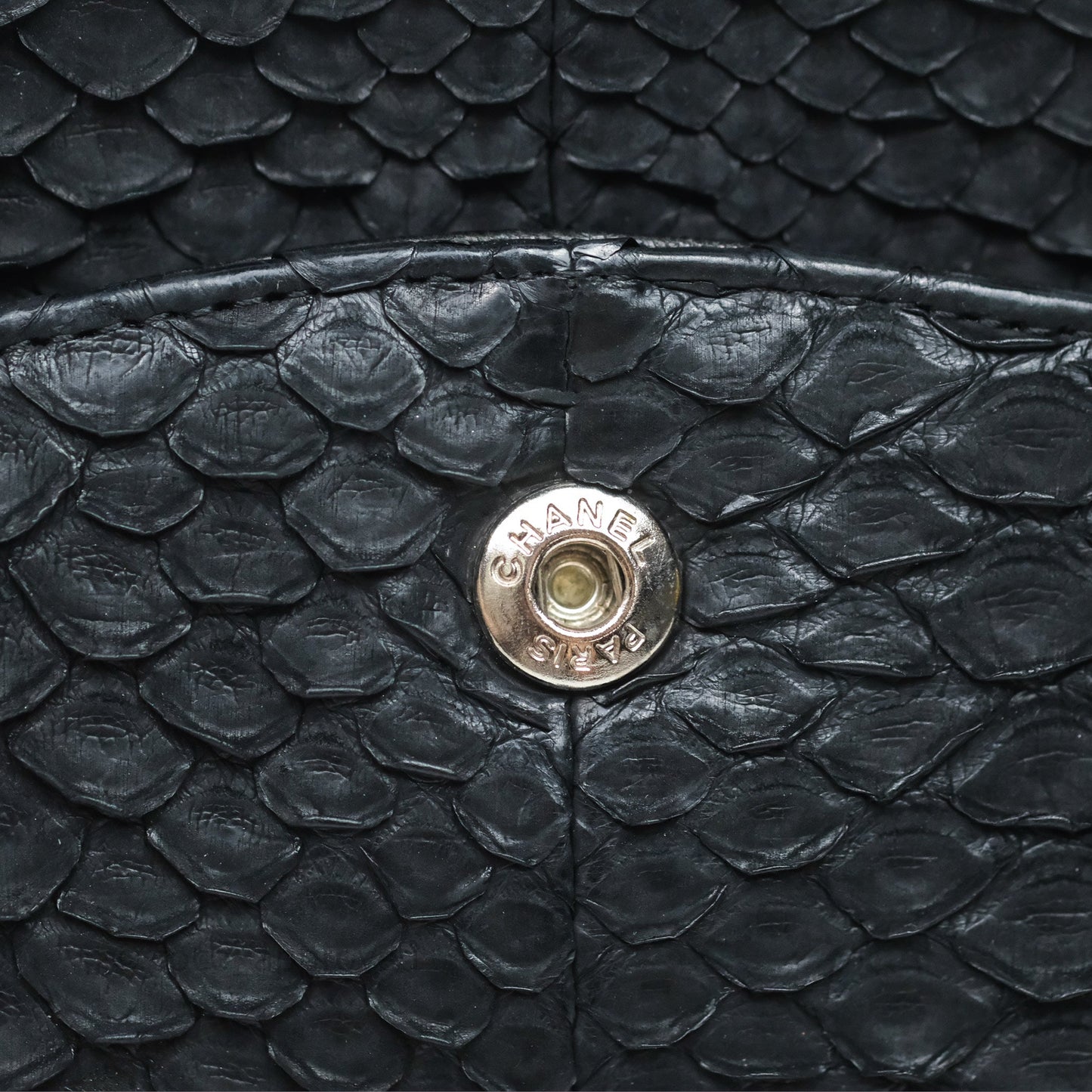 Chanel Classic M/L Medium Flap So Black Python Black Hardware