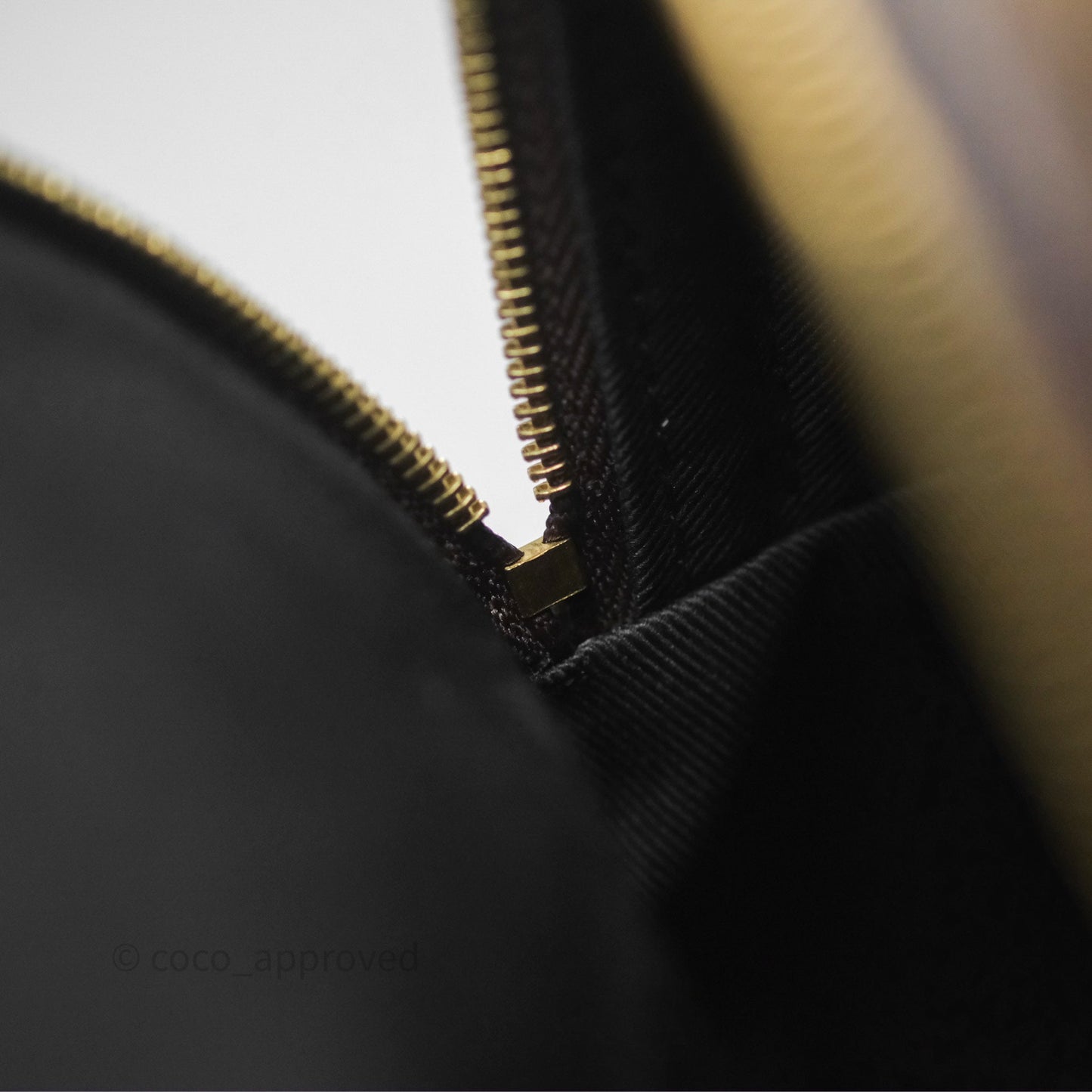 Louis Vuitton Monogram Mini Palm Springs Backpack⁣