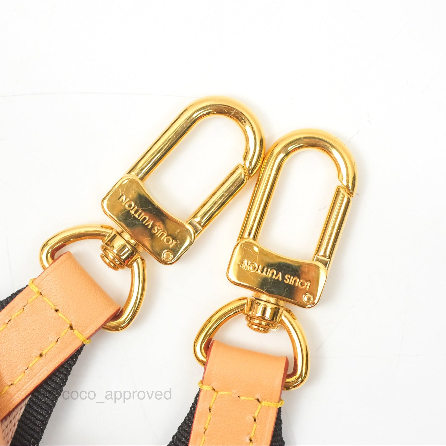 Louis Vuitton Diane Bag Monogram Canvas with Jacquard Strap