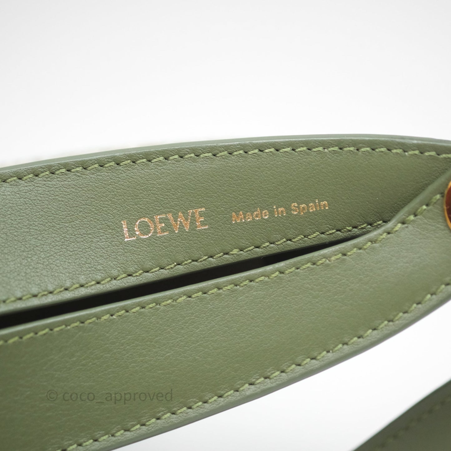 Loewe Small Luna Anagram Shoulder Bag Green Calfskin Jacquard