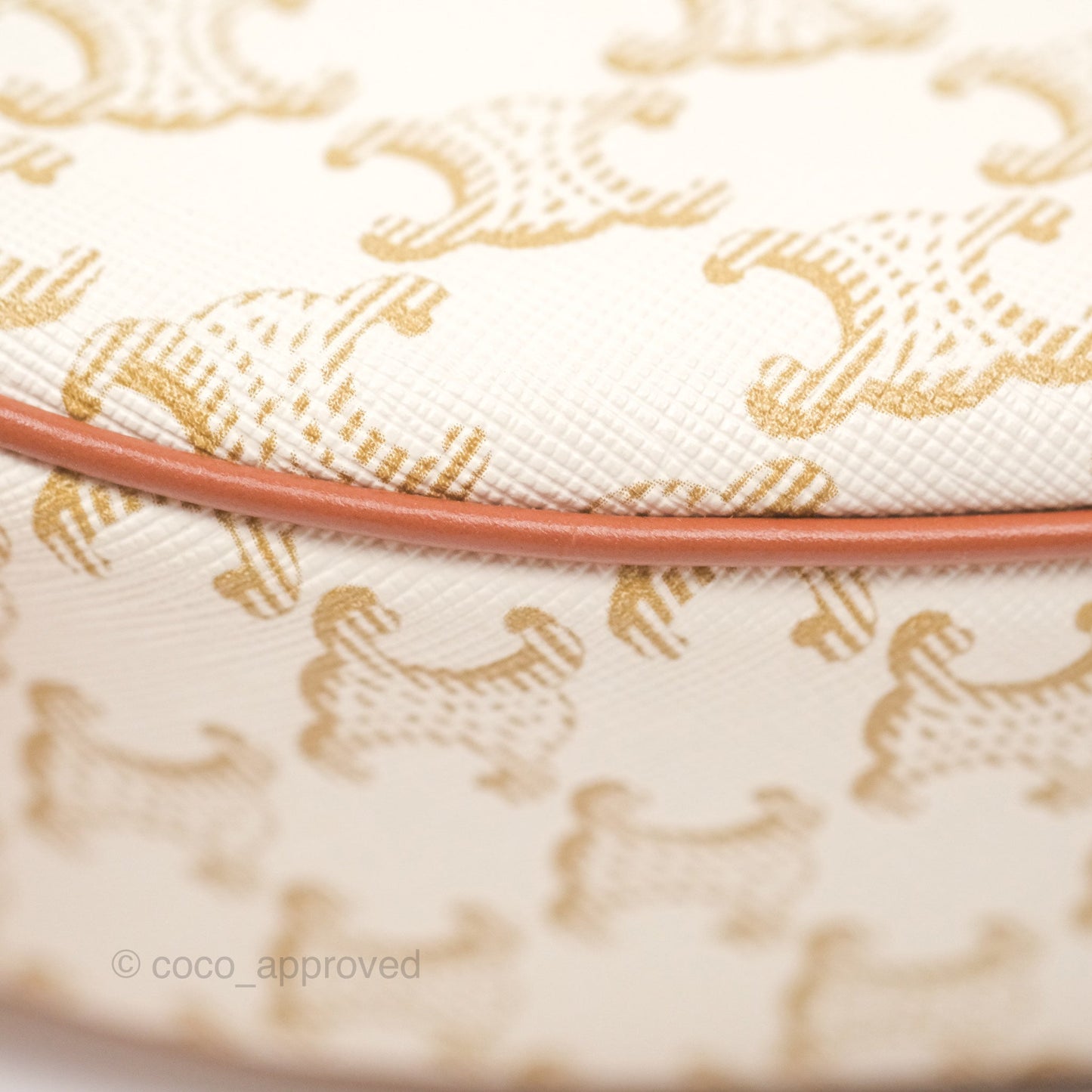 Celine Ava Bag In Triomphe Canvas Calfskin White