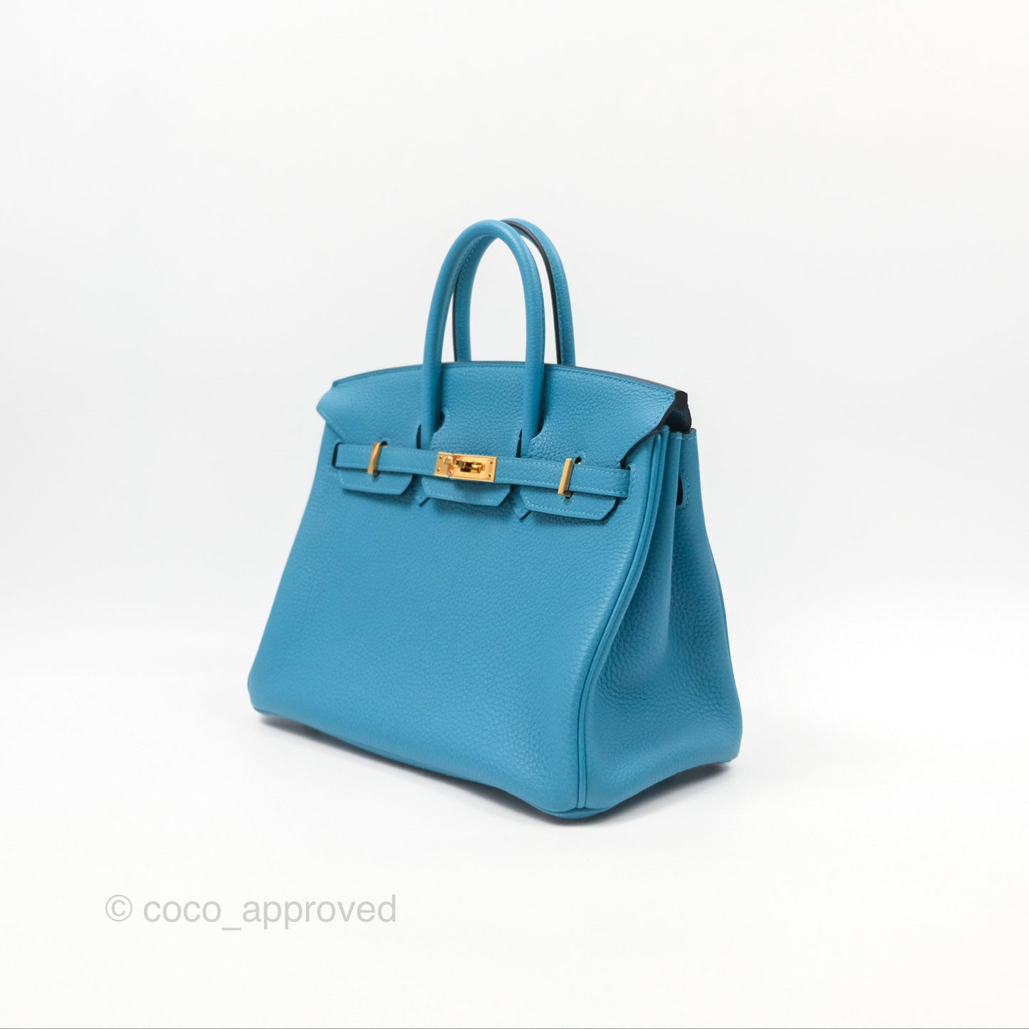 Hermès Birkin 25 Bleu Turquoise Togo Gold Hardware