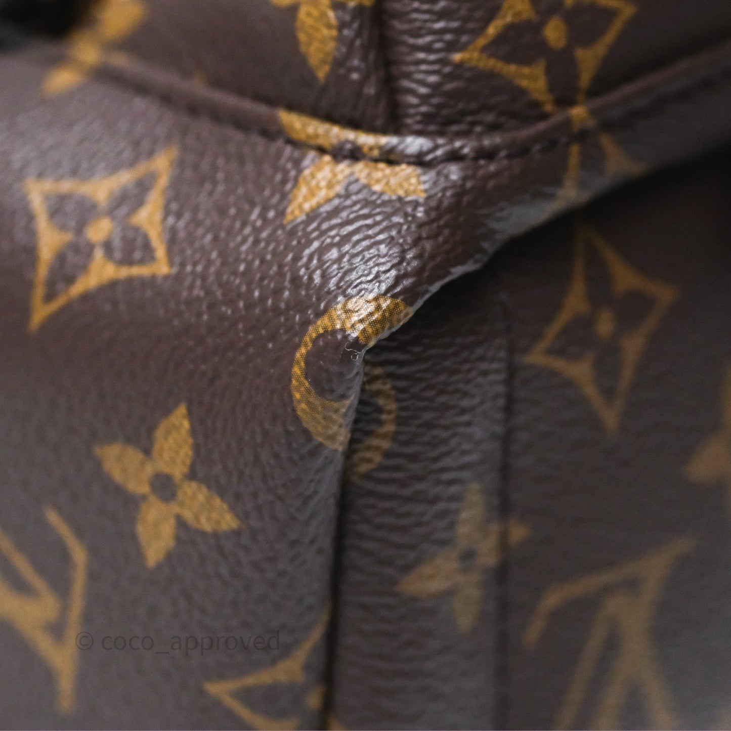 Louis Vuitton Mini Palm Springs Backpack⁣ Monogram