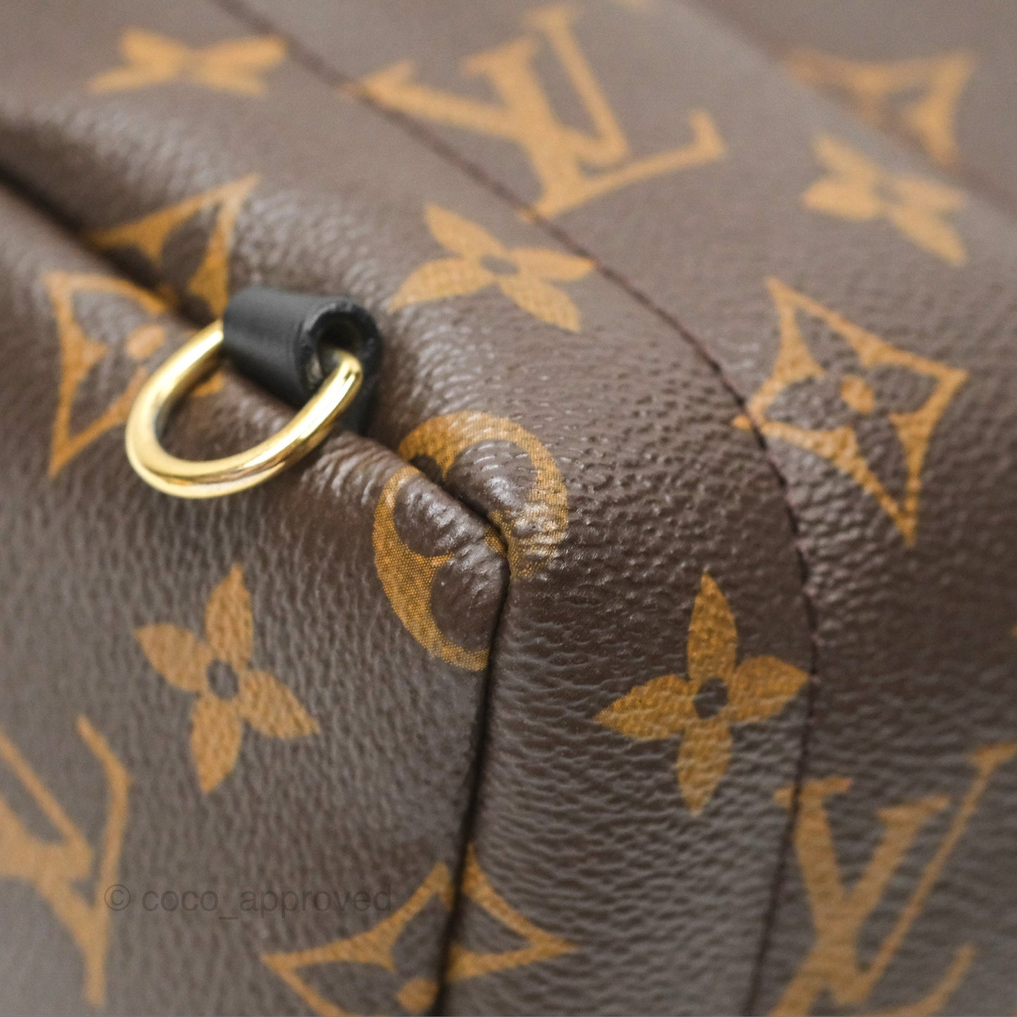 Louis Vuitton Mini Palm Springs Backpack⁣ Monogram Canvas