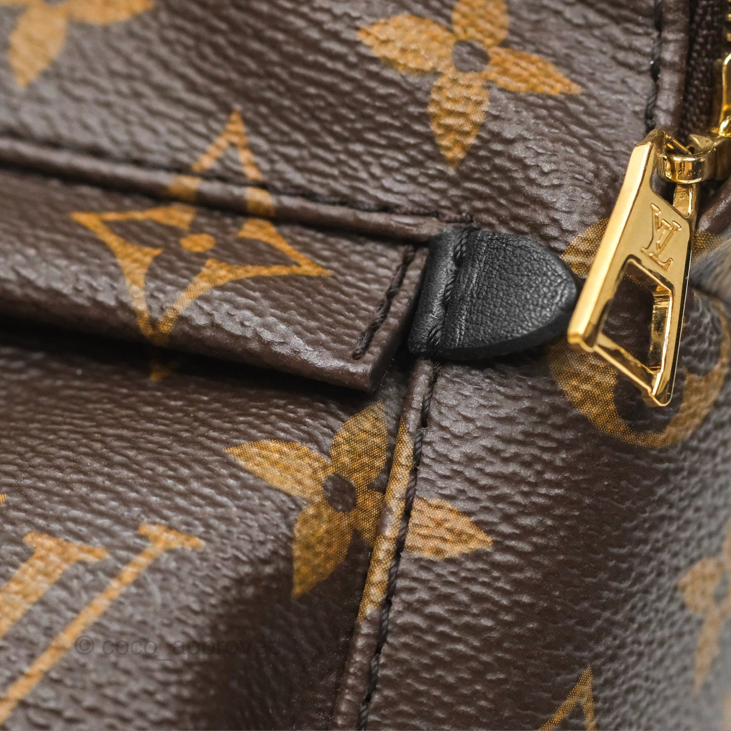 Louis Vuitton Mini Palm Springs Backpack⁣ Monogram Canvas