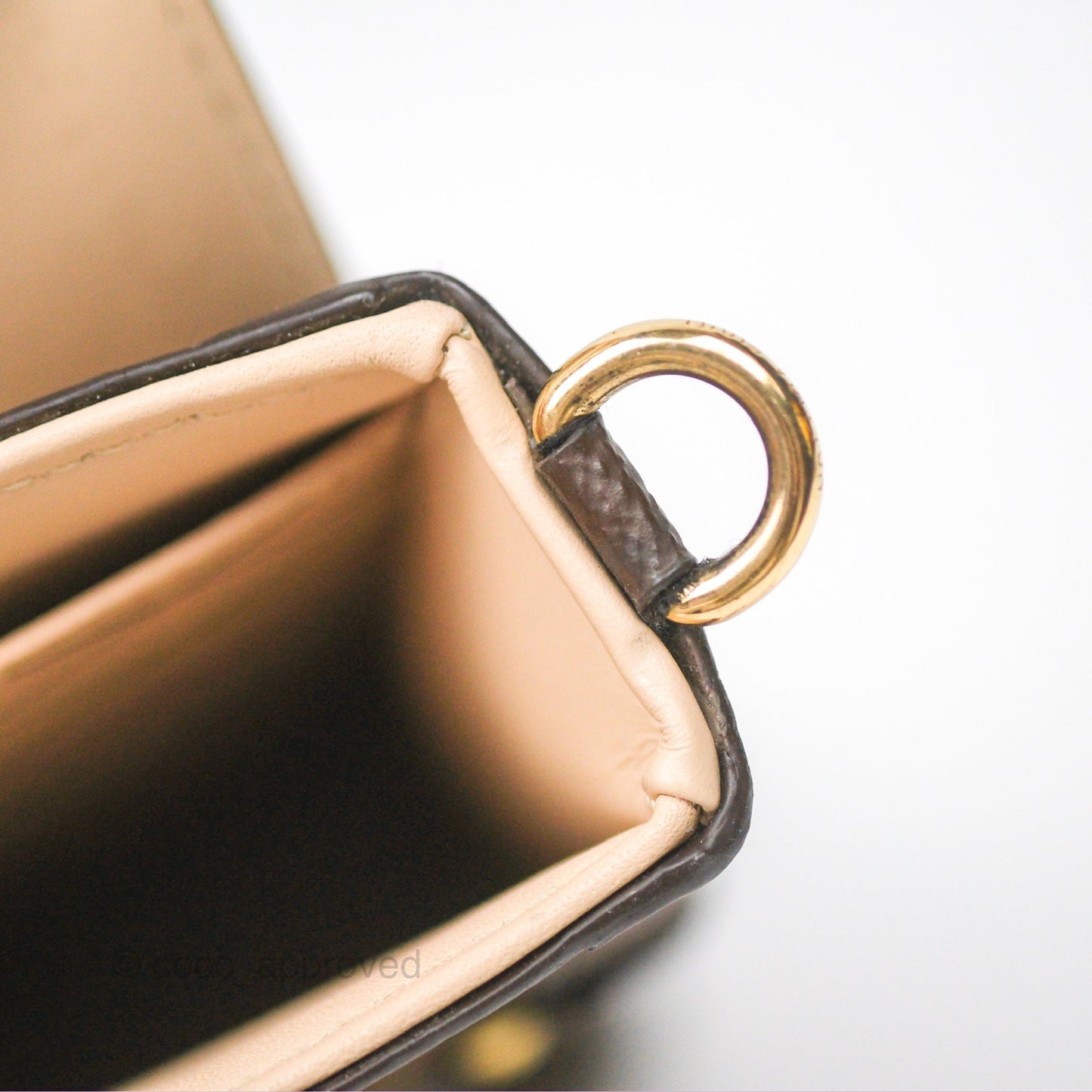 Louis Vuitton Reverse Monogram Pochette Vertical Trunk