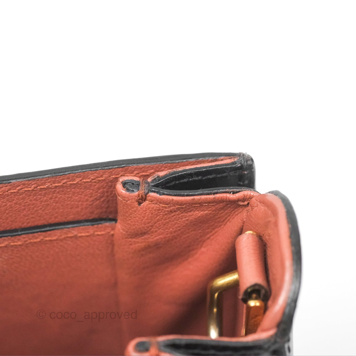 Louis Vuitton Vivienne Bag Brick Red Black