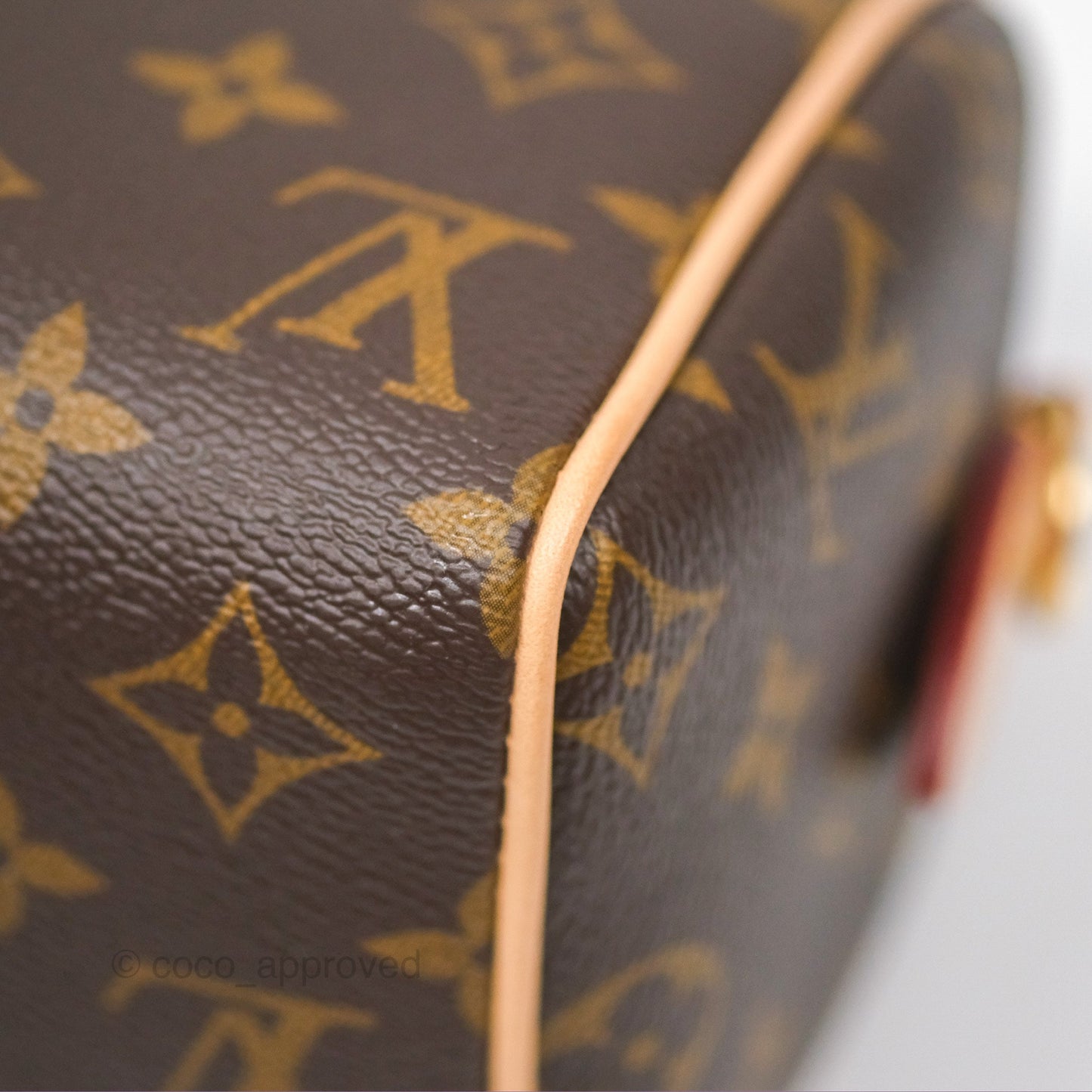 Louis Vuitton Speedy Bandoulière 20 Monogram