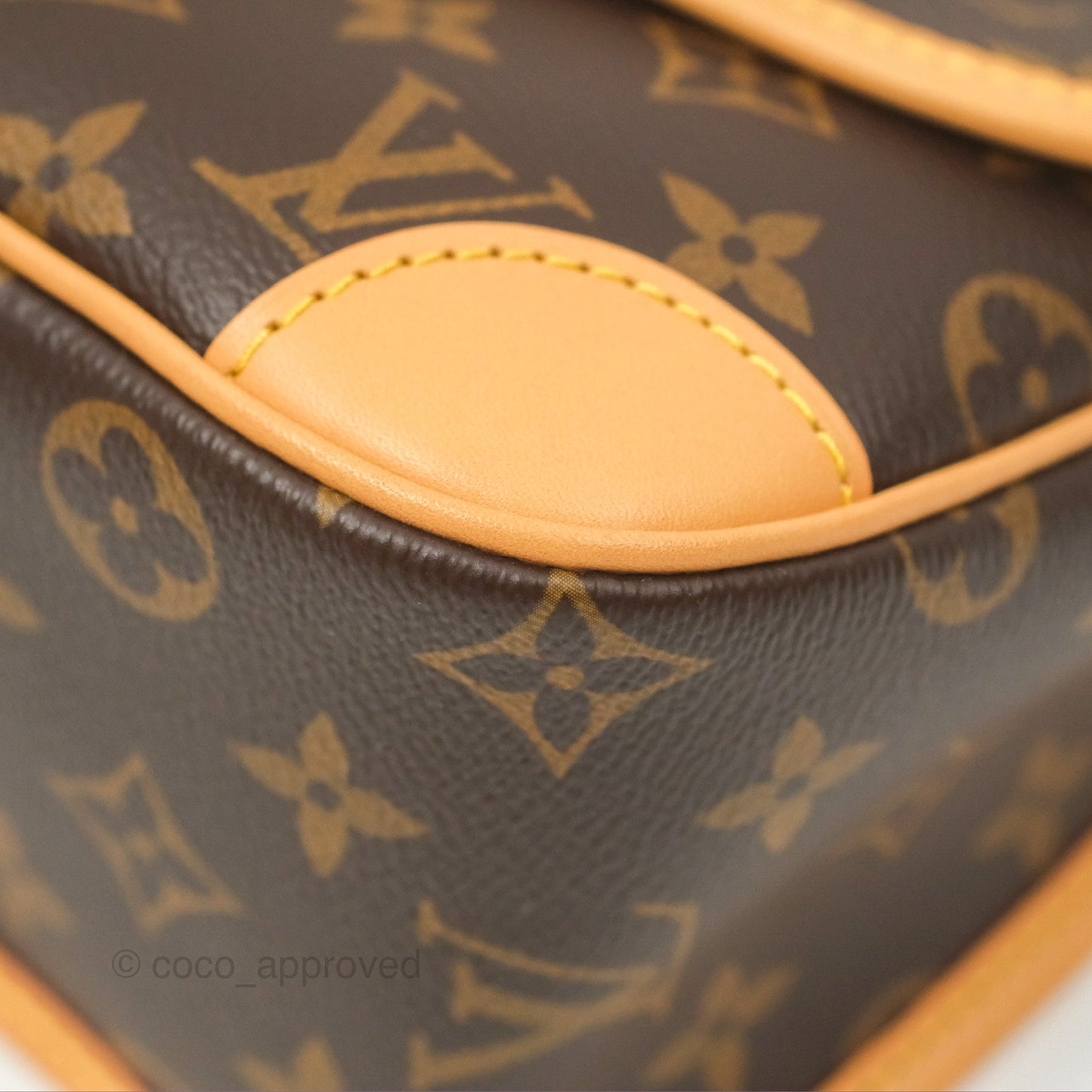 Louis Vuitton Diane Bag Monogram Canvas with Jacquard Strap