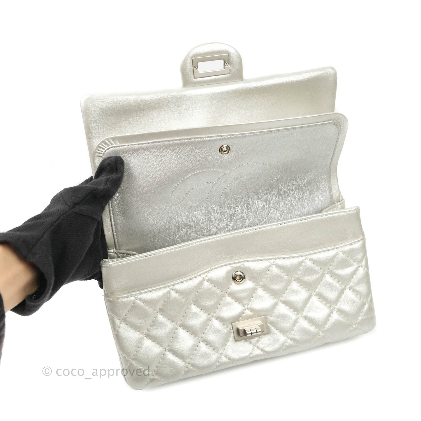 Chanel Reissue Quilted Aged Calfskin Metallic Silver Matte Silver Hardware 225