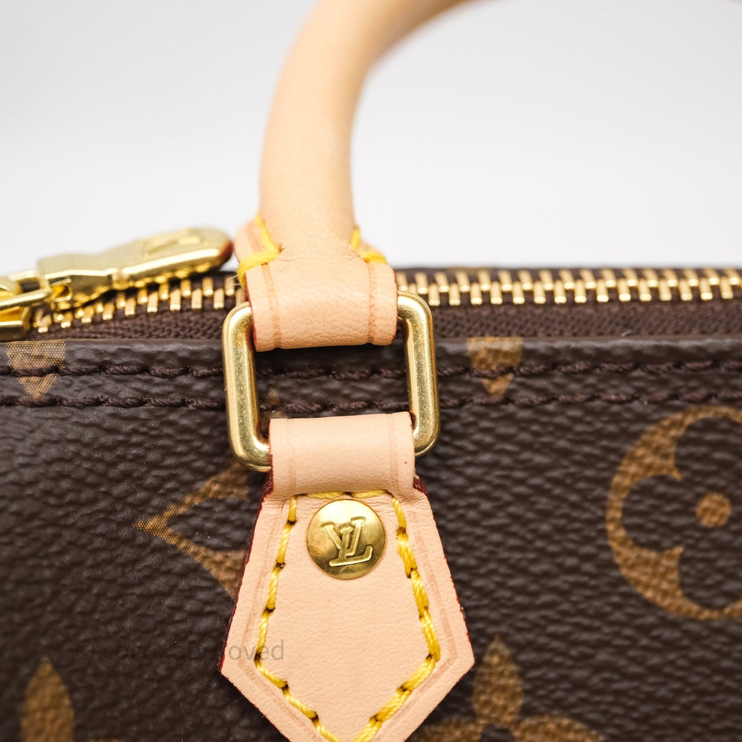 Louis Vuitton Nano Speedy Monogram Canvas