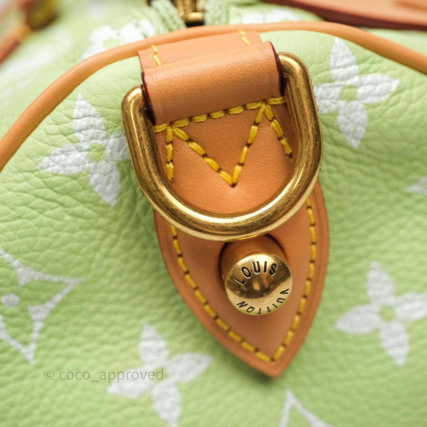 Louis Vuitton Speedy P9 Bandouliere 30 Vert Clair Bag