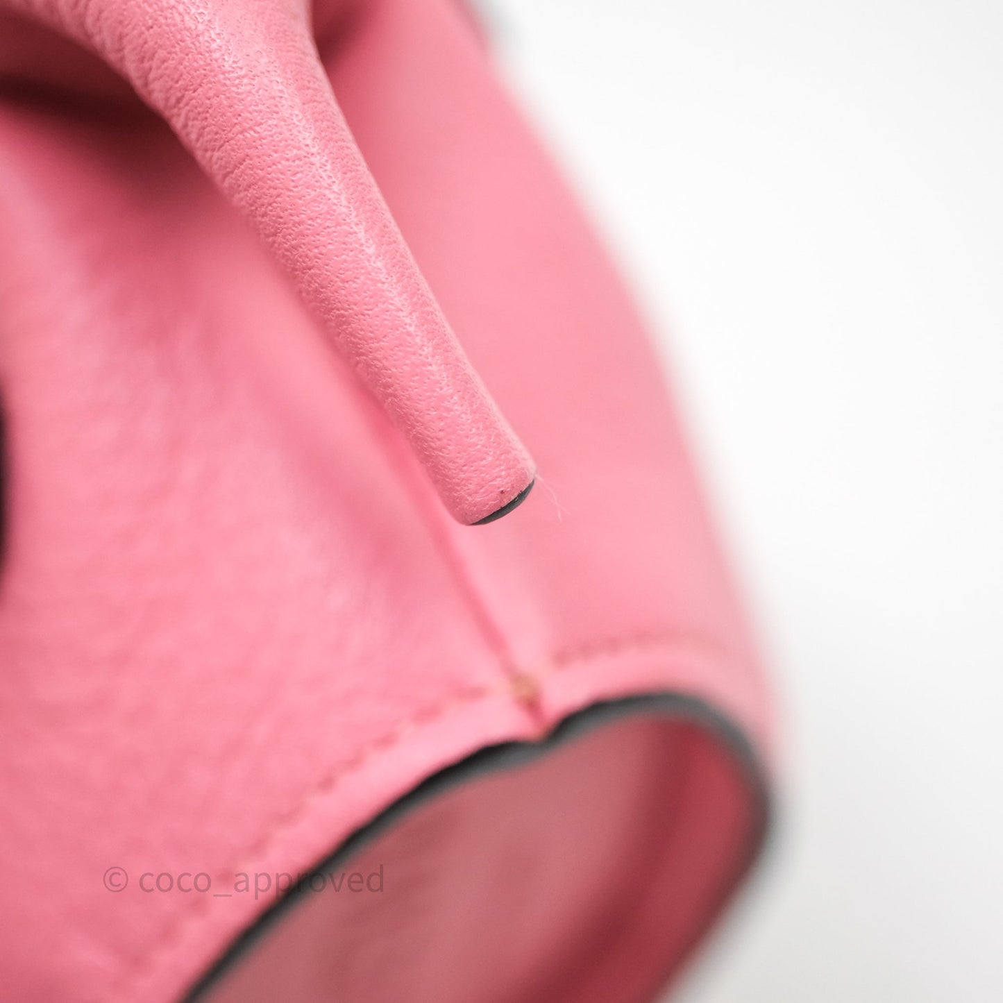 Loewe Elephant Coin Case Pink