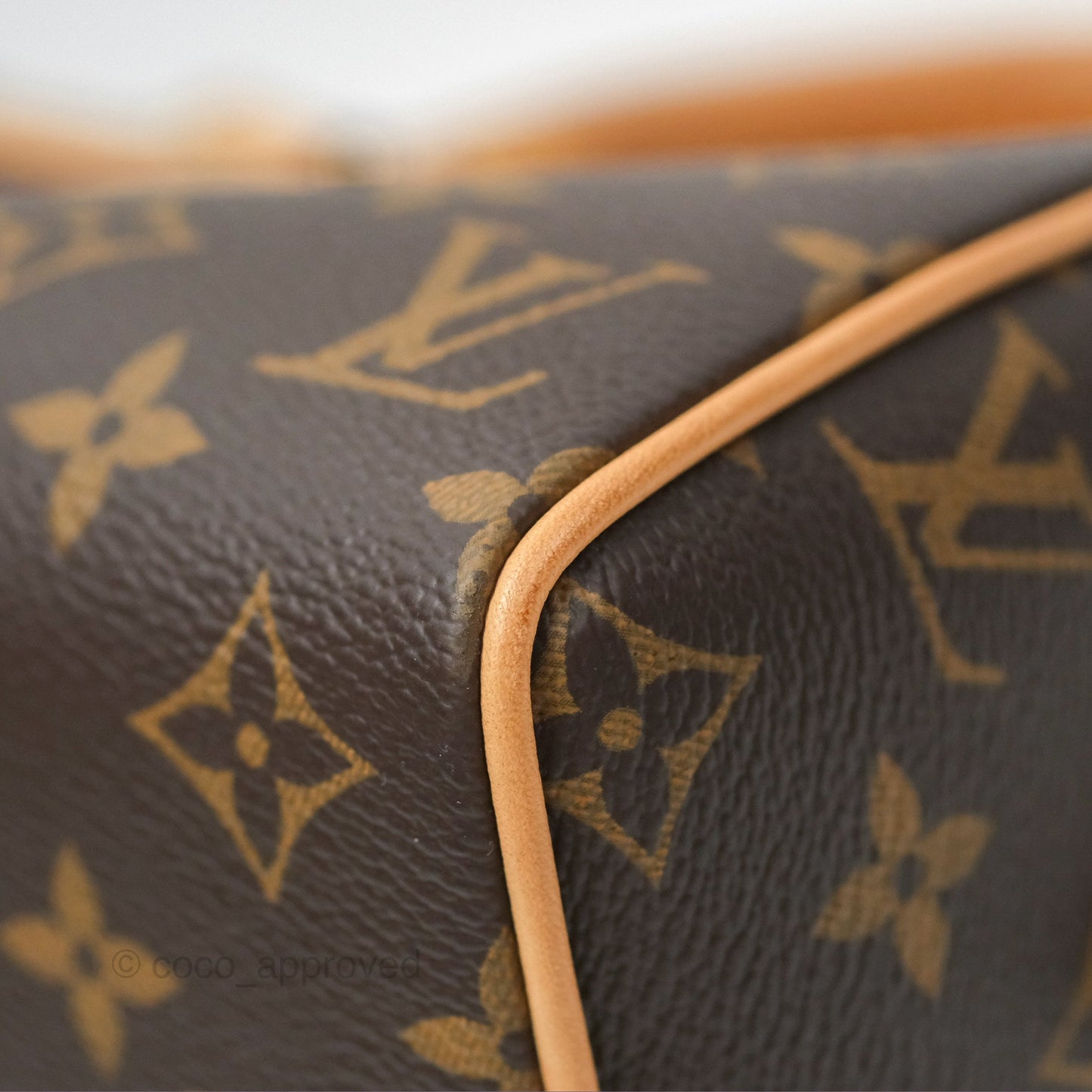 Louis Vuitton Speedy Bandoulière 20 Monogram