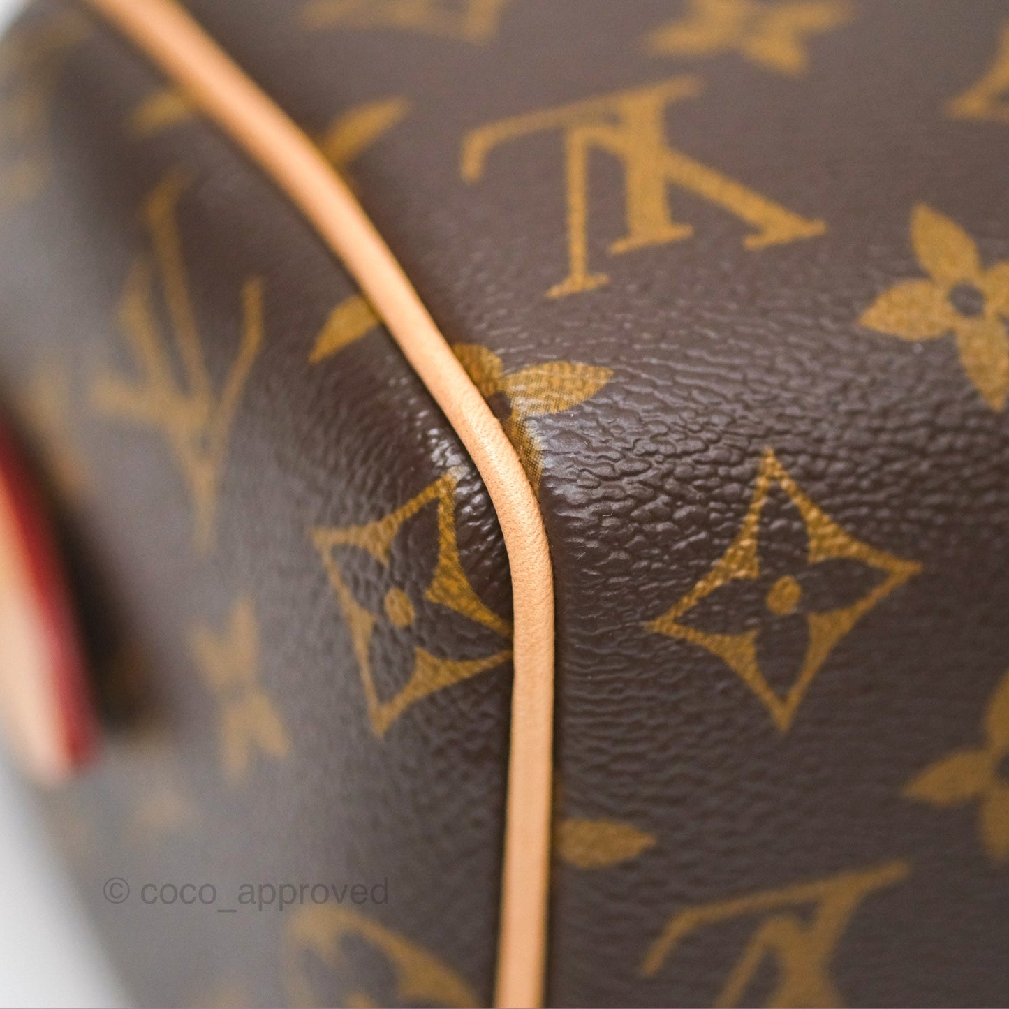 Louis Vuitton Speedy Bandoulière 20 Monogram
