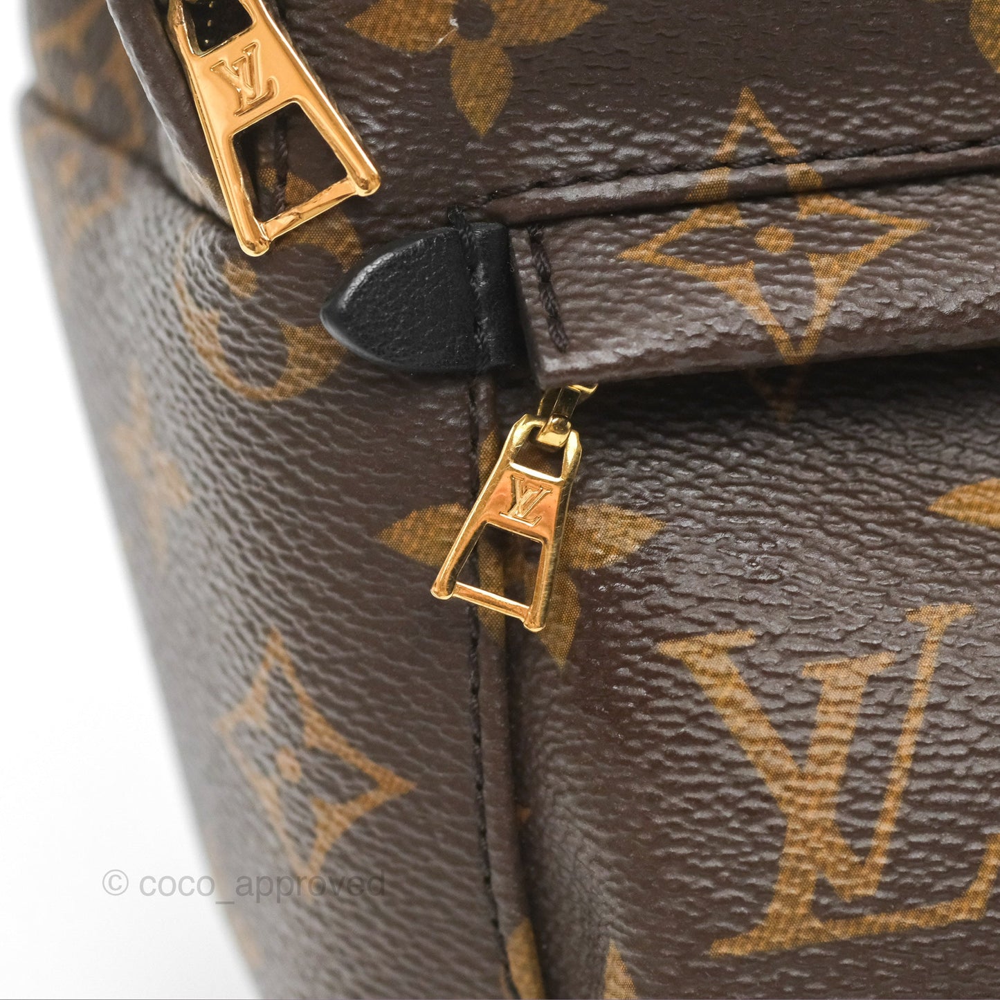 Louis Vuitton Mini Palm Springs Backpack⁣ Monogram Canvas