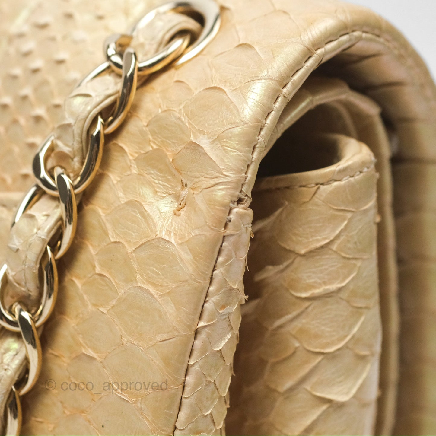 Chanel Jumbo Double Flap Iridescent Gold Python Gold Hardware⁣⁣