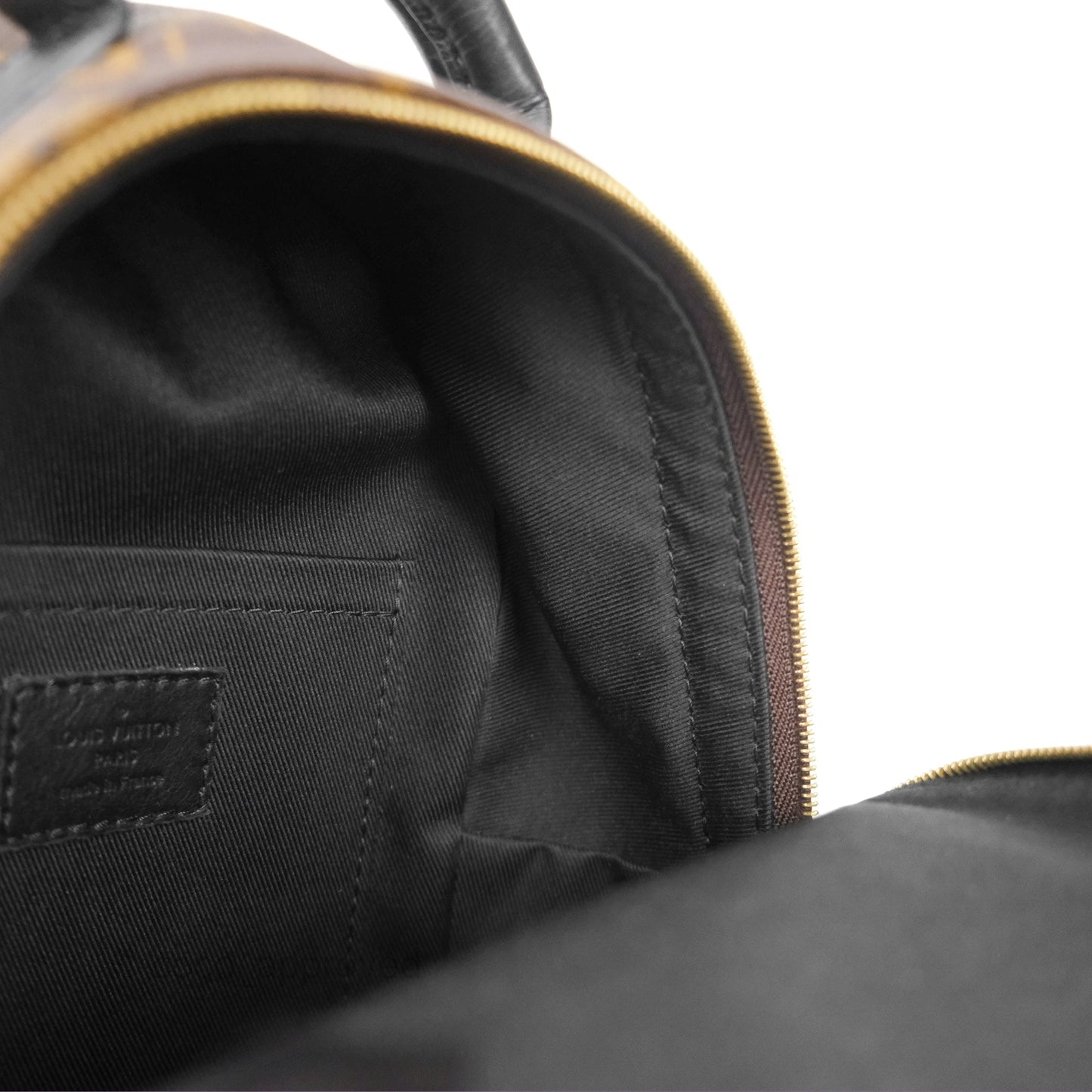 Louis Vuitton Mini Palm Springs Backpack⁣ Monogram