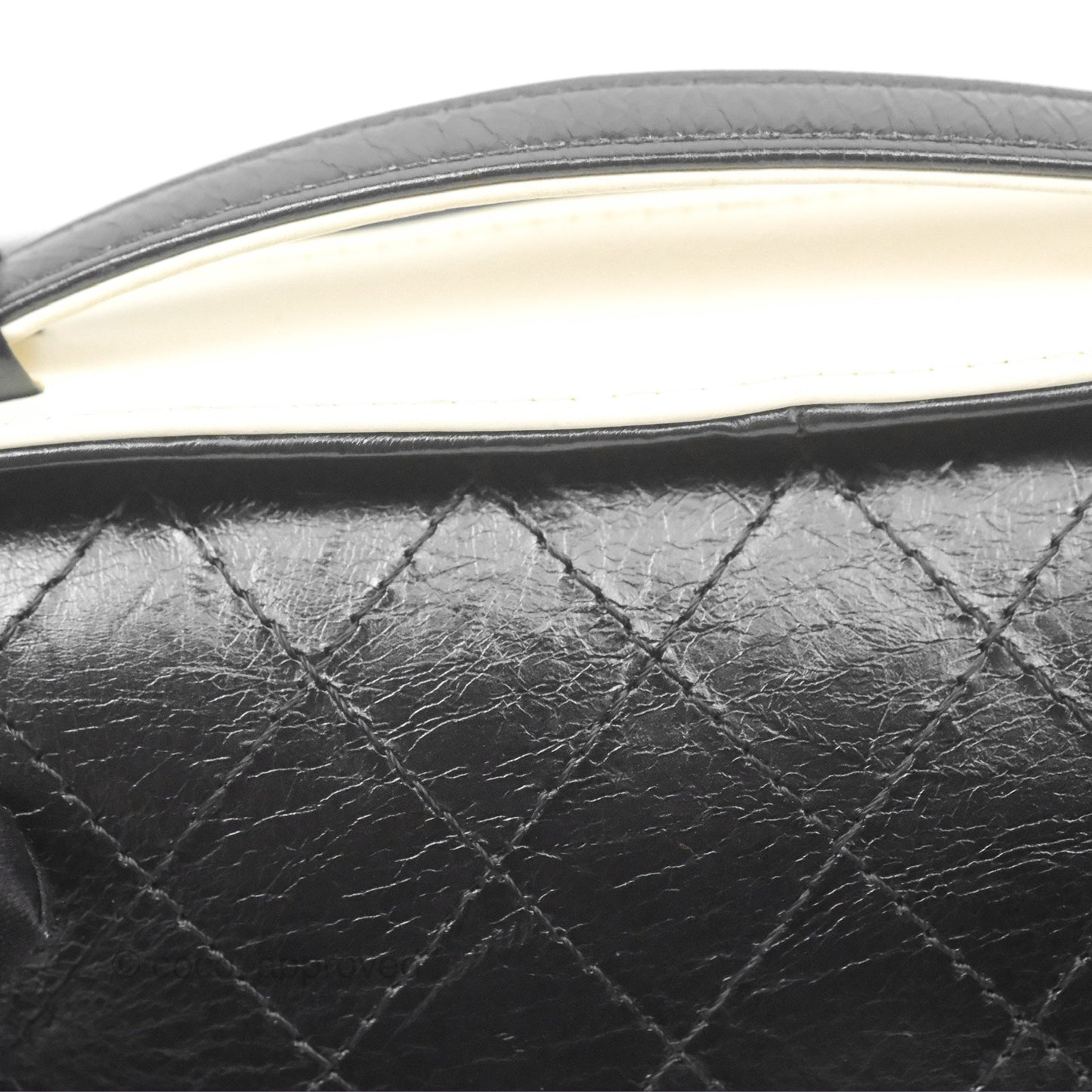 Chanel Camera Case Bag Black/White Calfskin Gold Hardware