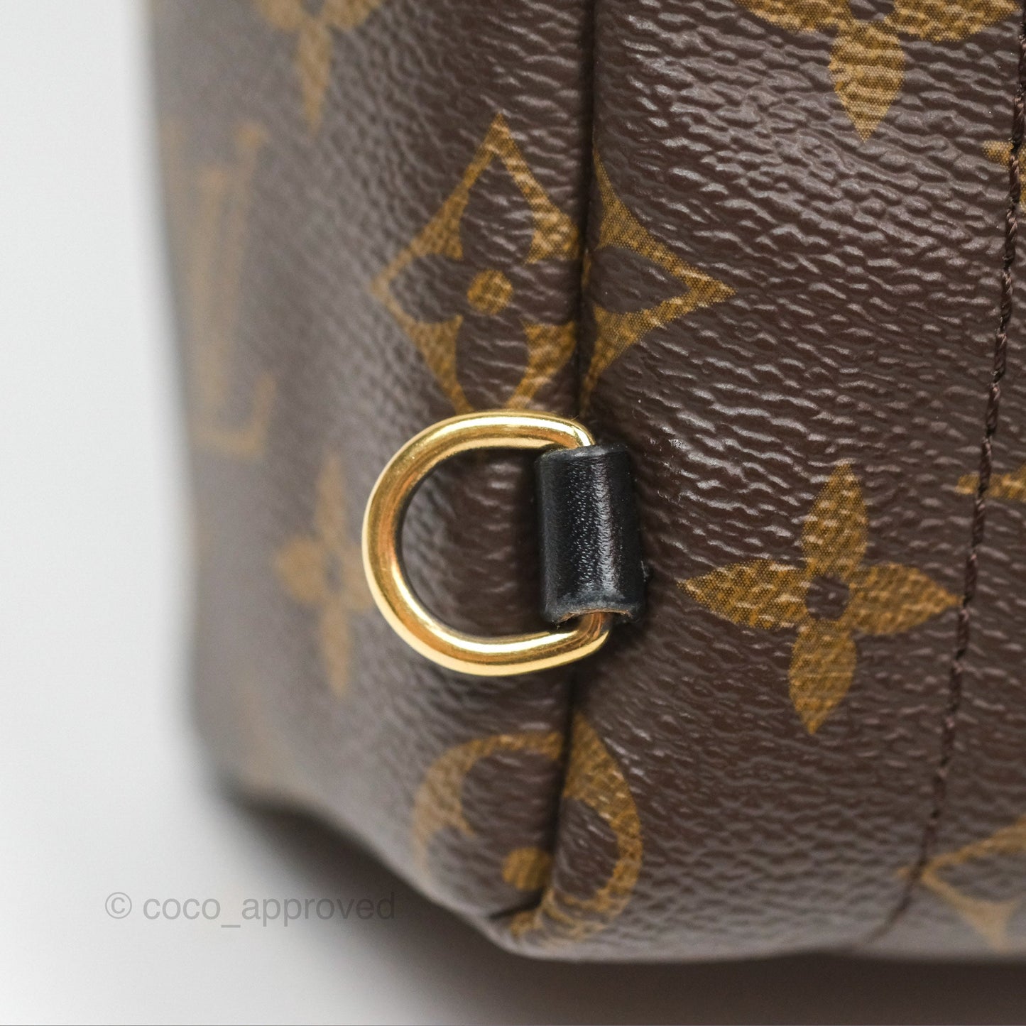 Louis Vuitton Mini Palm Springs Backpack⁣ Monogram