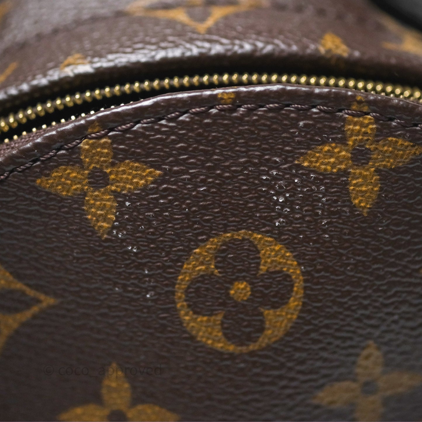 Louis Vuitton Monogram Mini Palm Springs Backpack⁣