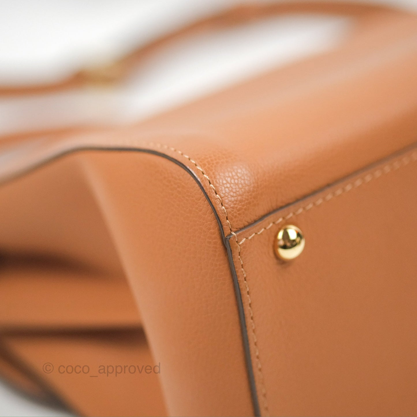Delvaux Mini Brillant Bag Vegetal Rodeo Calf Gold Hardware