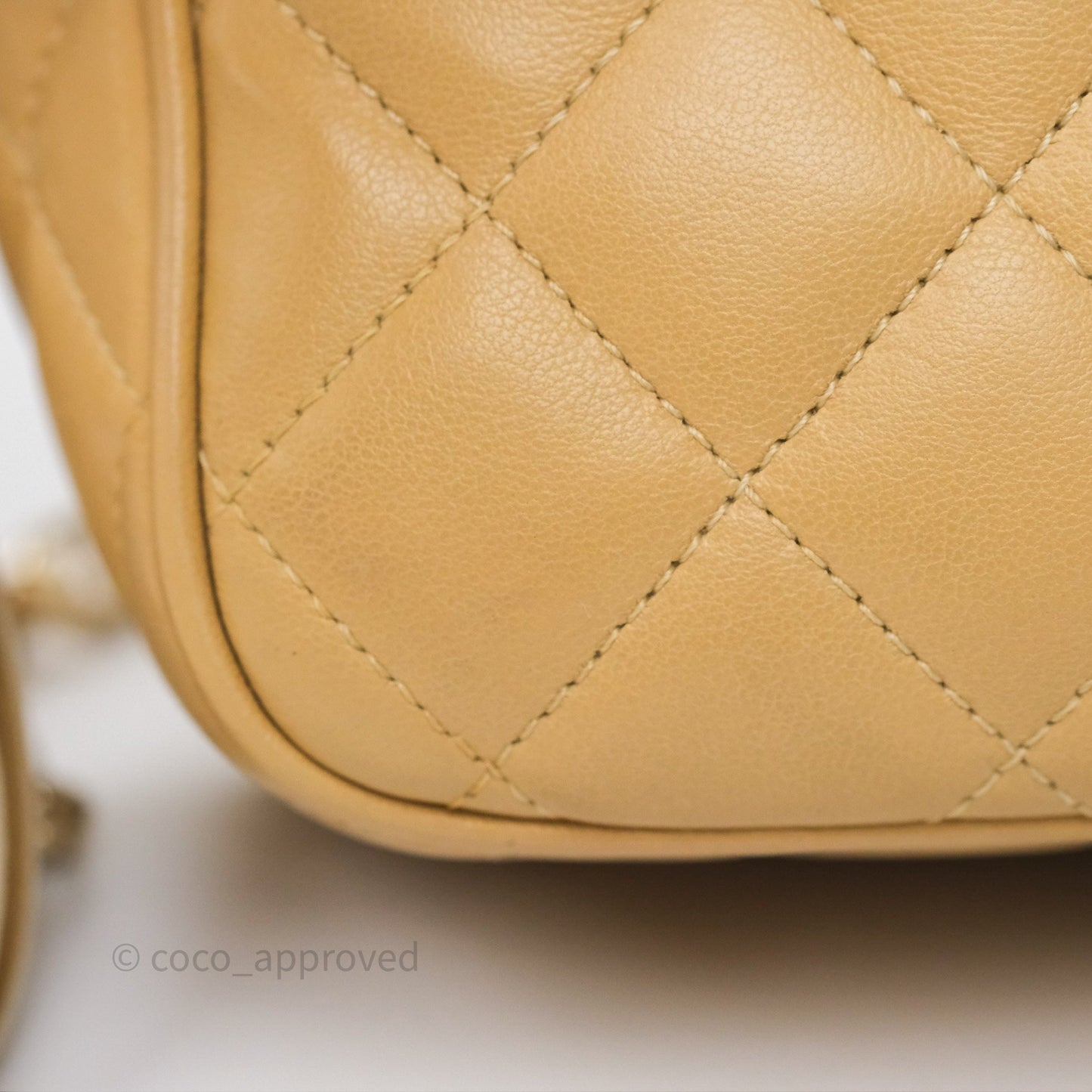 Chanel Coco Vintage Camera Case Beige Calfskin Gold Hardware