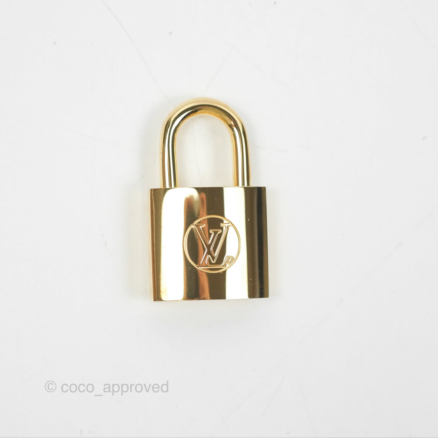 Louis Vuitton Reverse Monogram Vanity PM