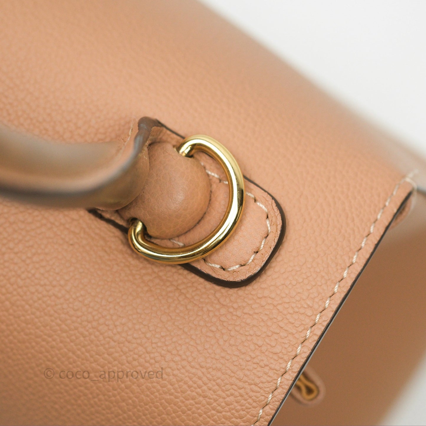 Delvaux Mini Brillant Bag Vison Grained Calfskin Gold Hardware with Twilly