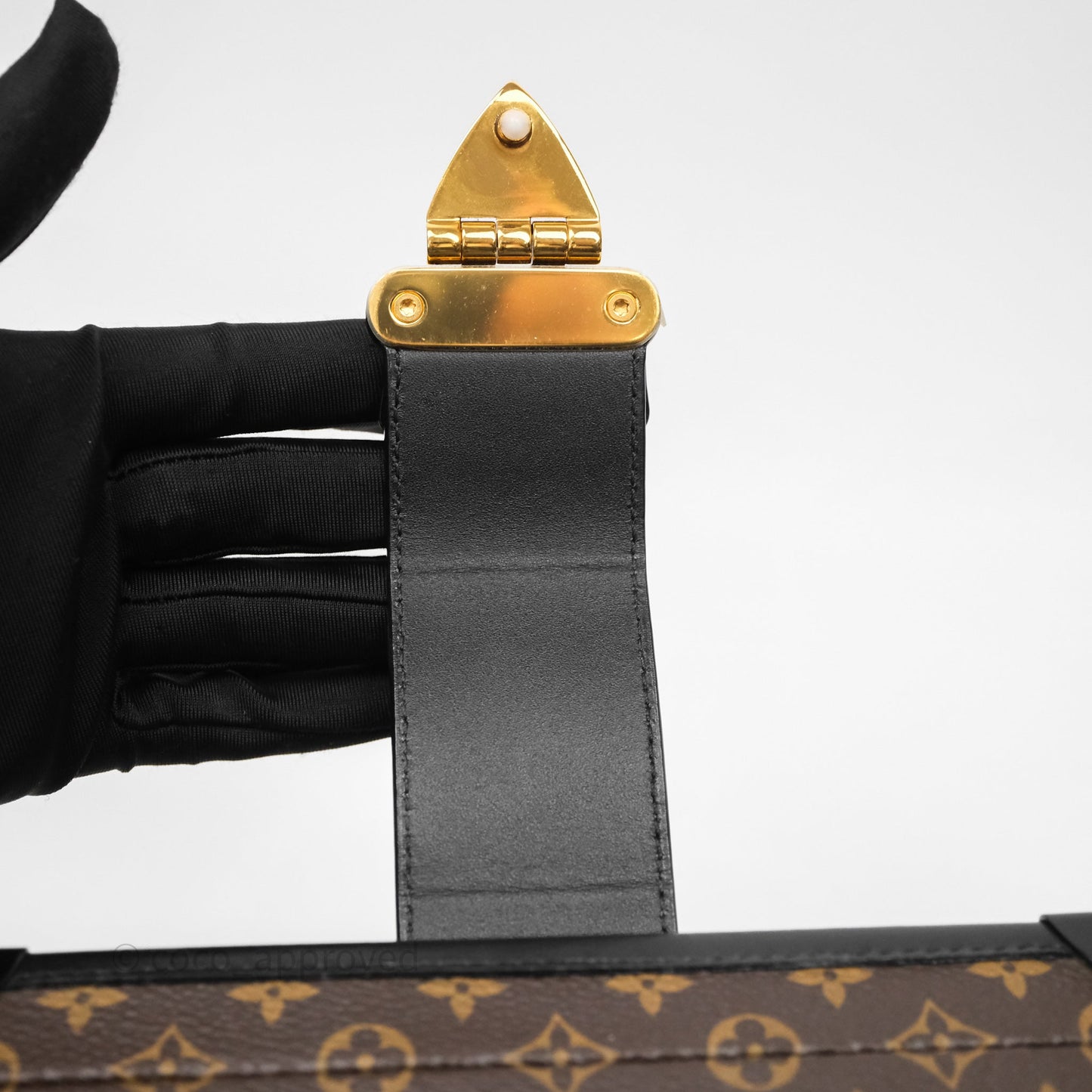 Louis Vuitton Monogram Petite Malle