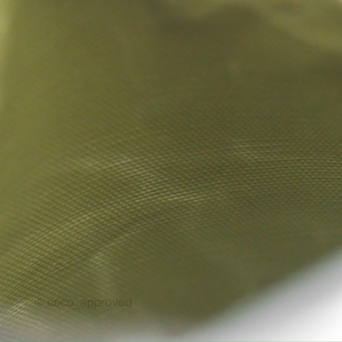 Goyard Poitiers Claire Voie Tote Canvas Khaki