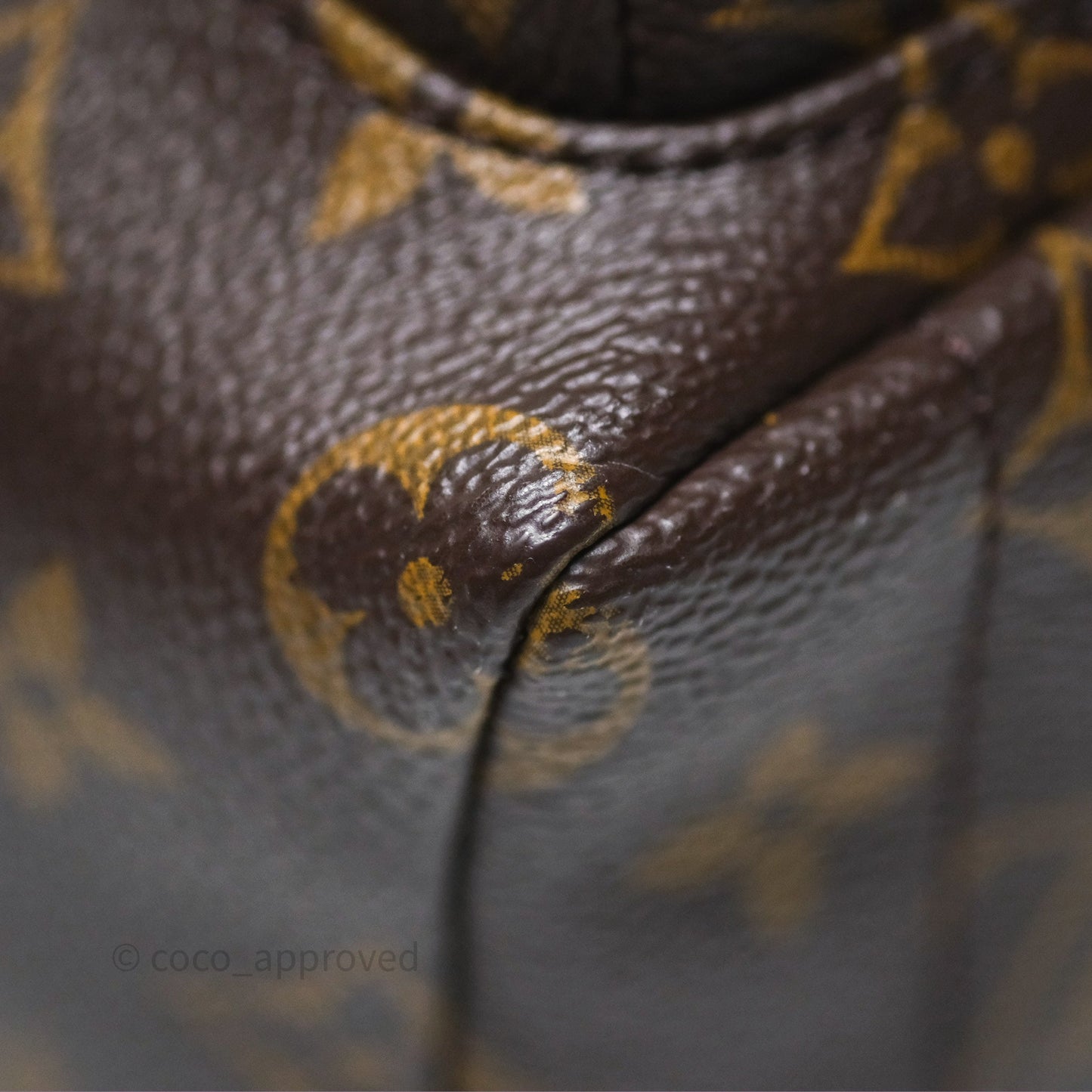 Louis Vuitton Monogram Mini Palm Springs Backpack⁣