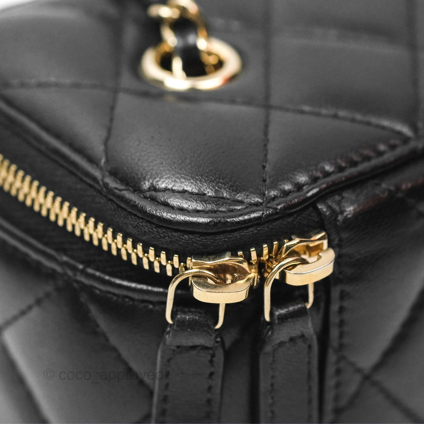 Chanel Vanity Rectangular with Chain Black Lambskin Gold Hardware