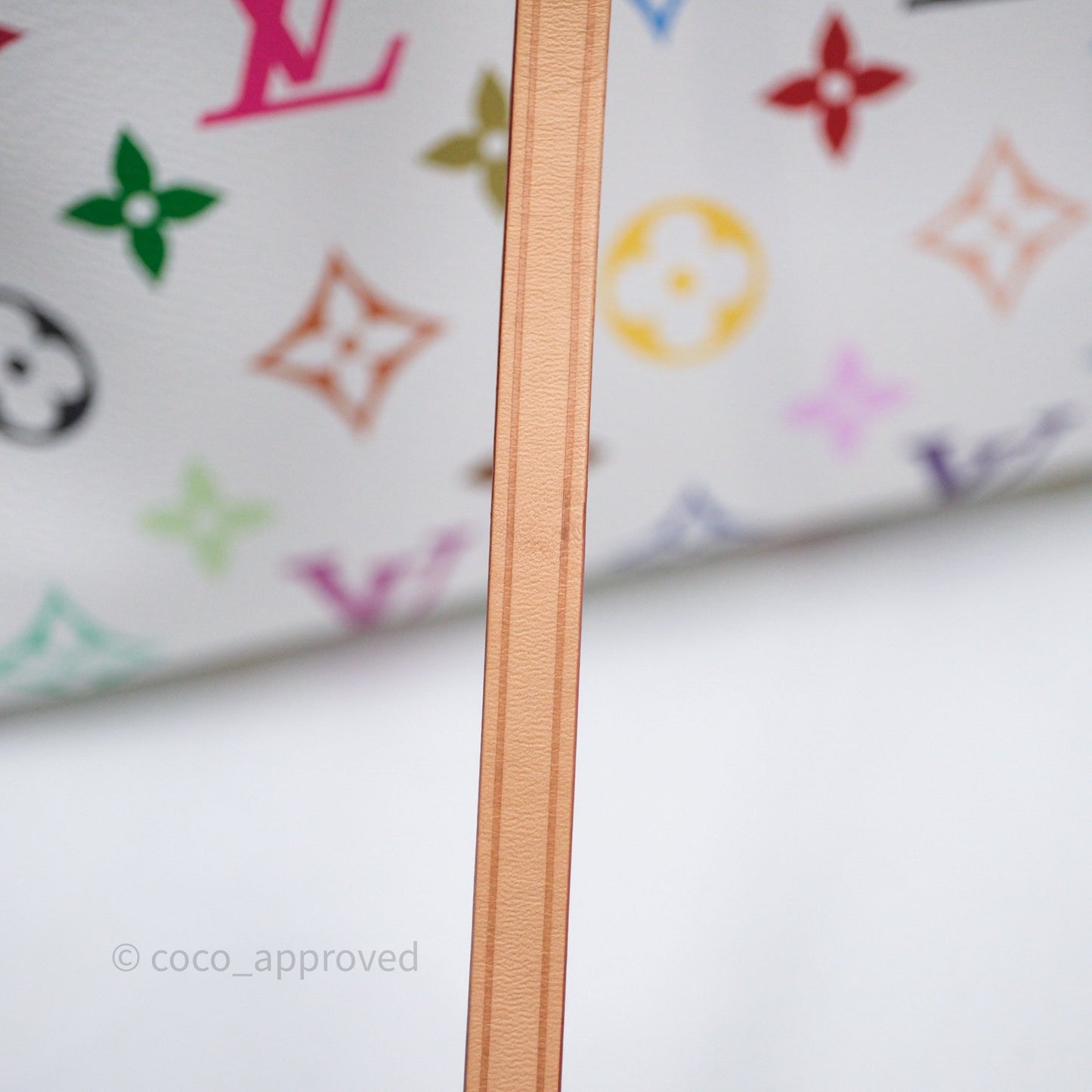 Louis Vuitton x Takashi Murakami CarryAll PM White Rainbow