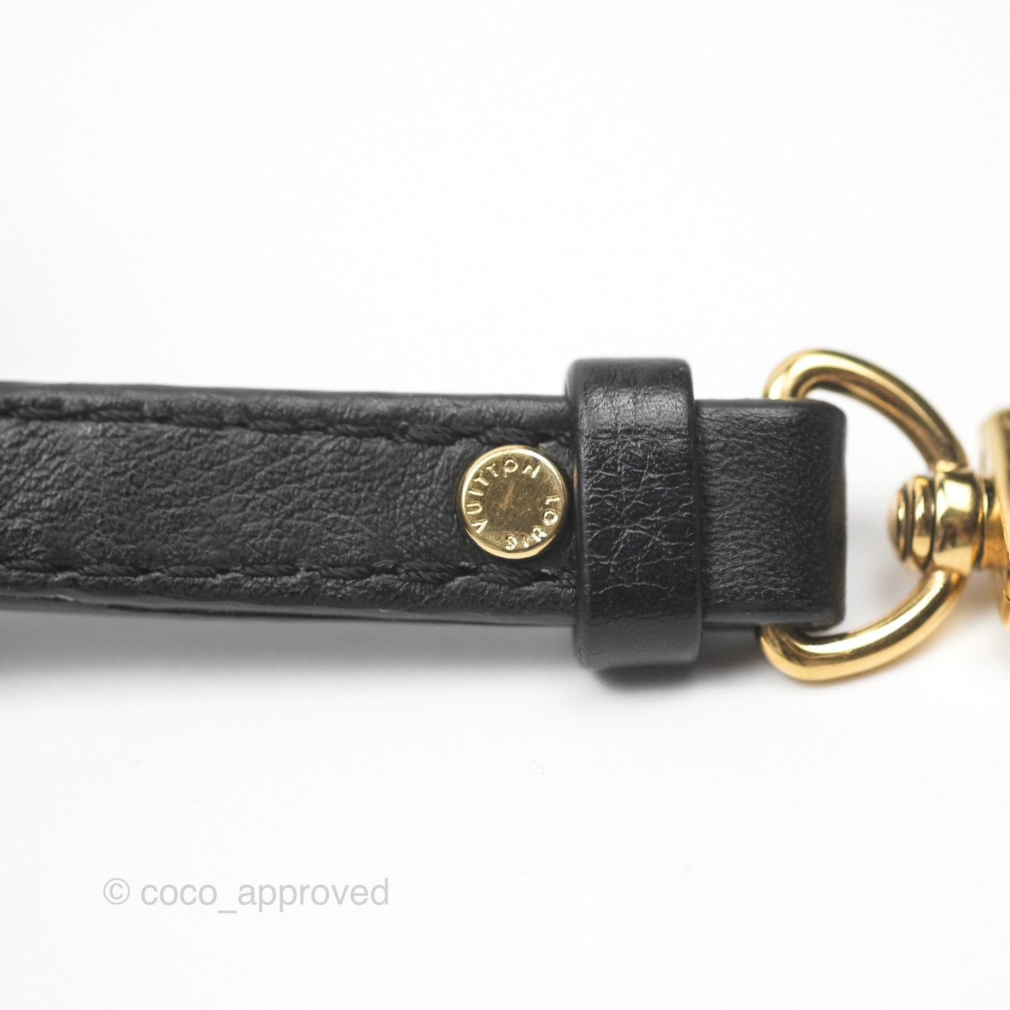 Louis Vuitton Monogram Mini Palm Springs Backpack⁣
