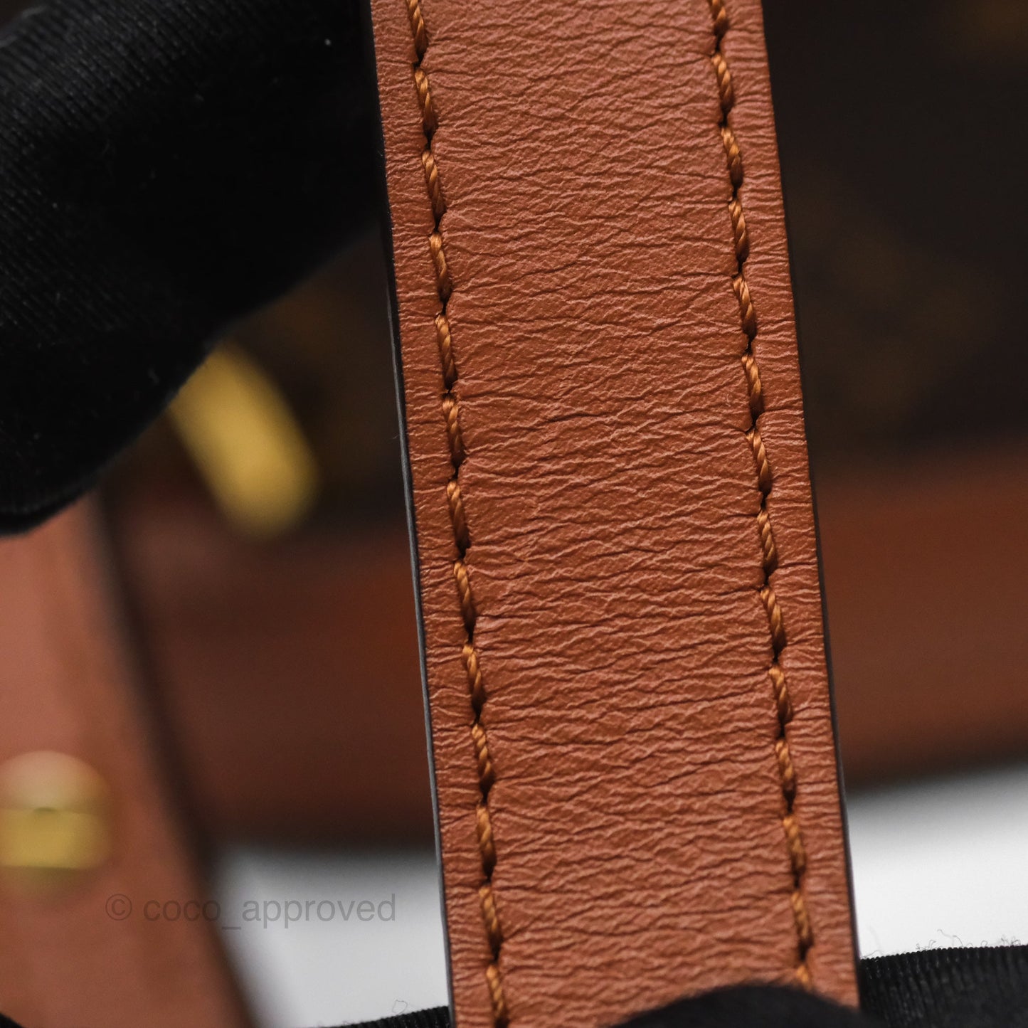 Louis Vuitton Monogram Dauphine Backpack