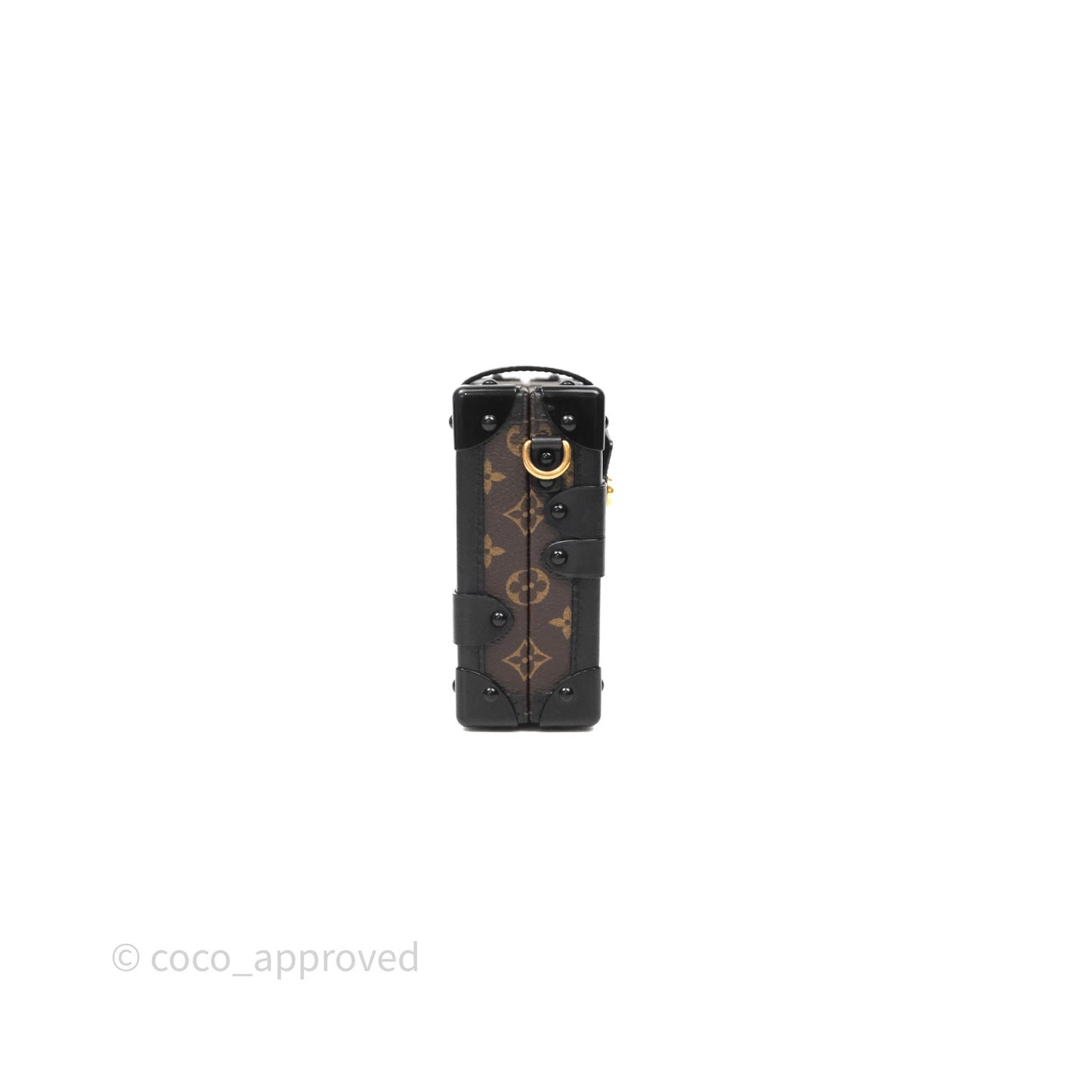 Louis Vuitton Monogram Petite Malle