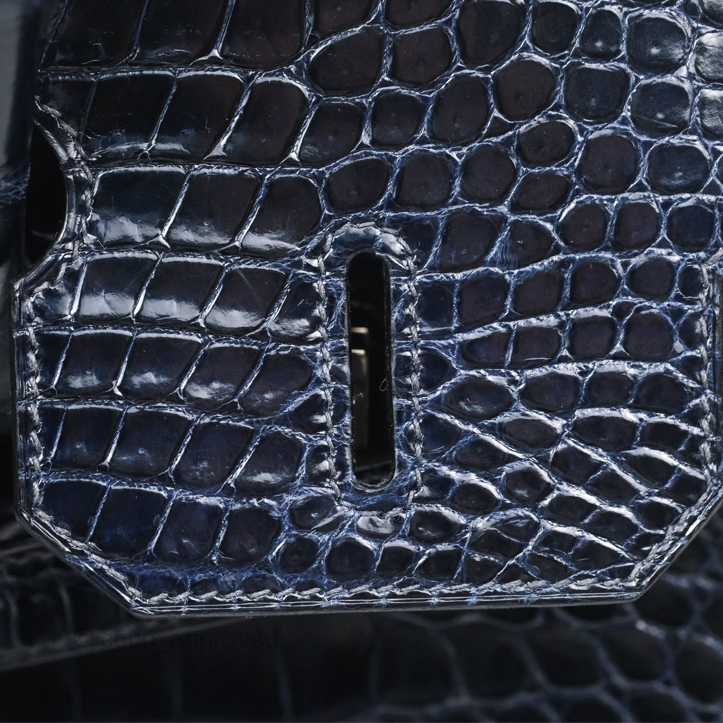 Hermès Birkin 35 Porosus Marine 78 Palladium Hardware