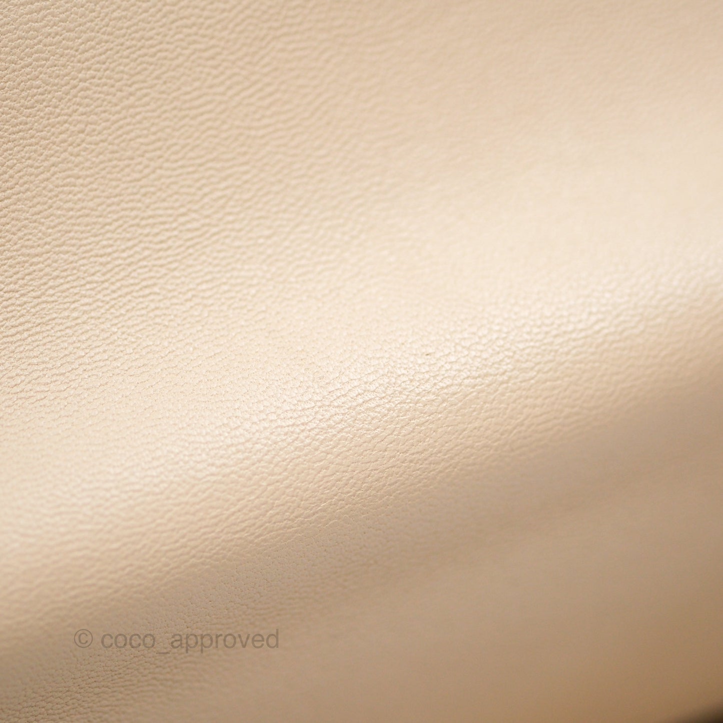 Chanel 19 Small Beige Lambskin Mixed Hardware