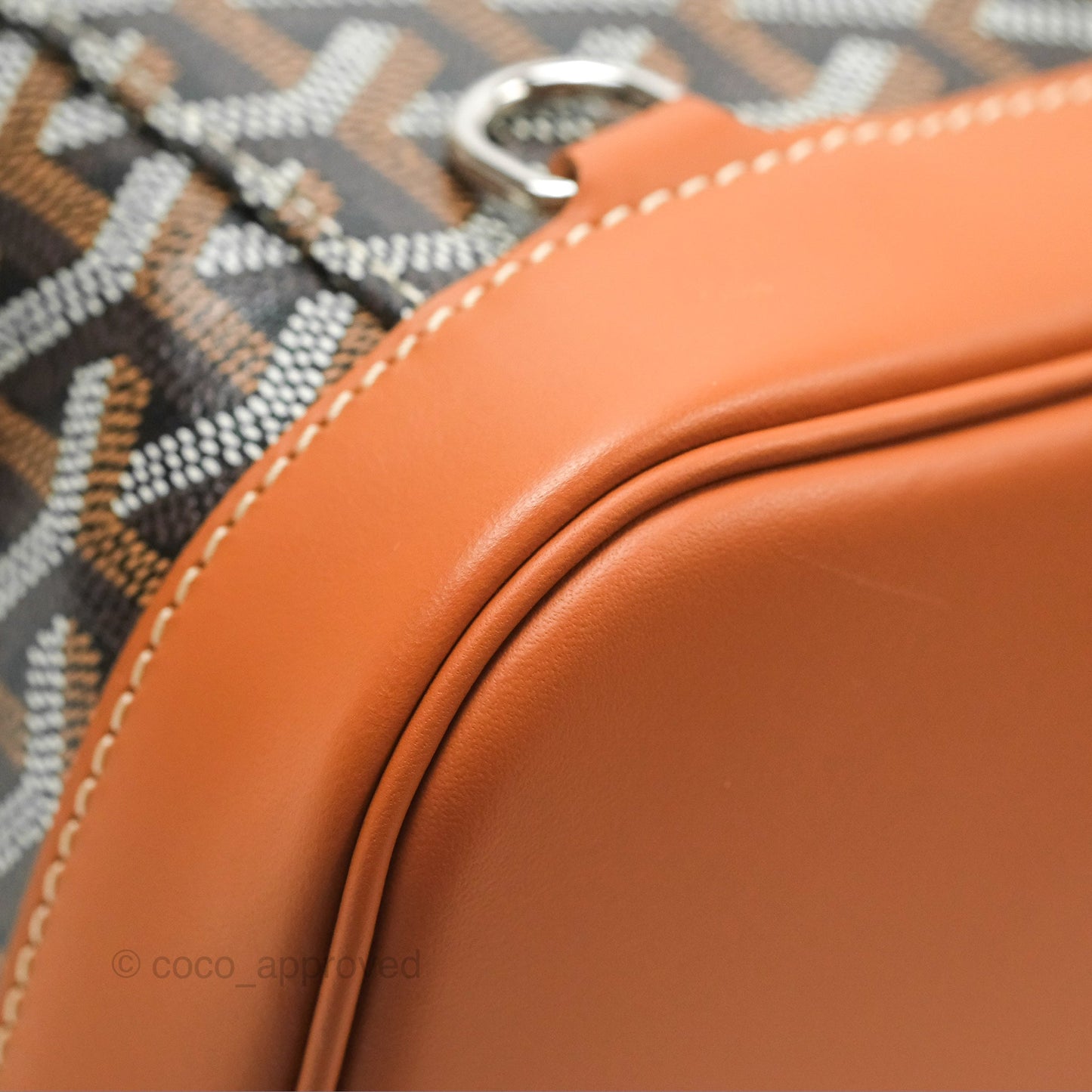 Goyard Alpin MM Backpack Black/ Tan