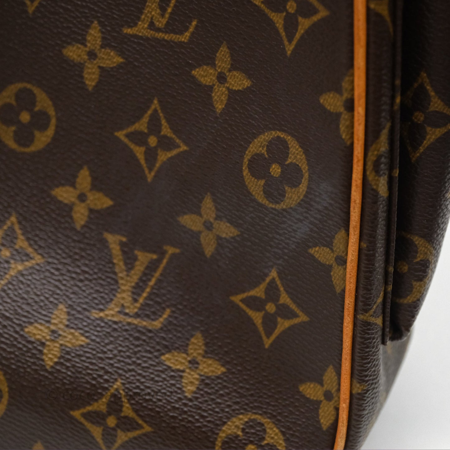 Louis Vuitton Multipli-Cite Tote Monogram Canvas