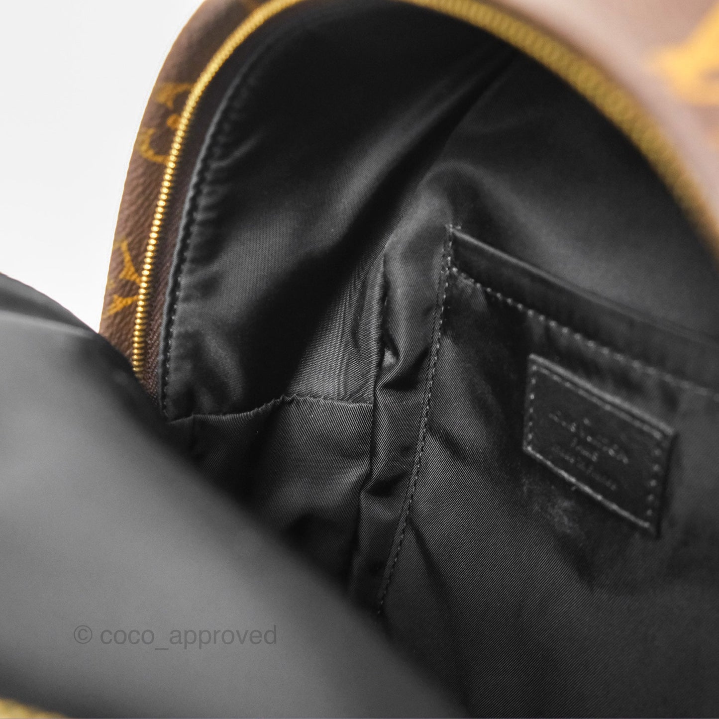 Louis Vuitton Mini Palm Springs Backpack⁣ Monogram Canvas