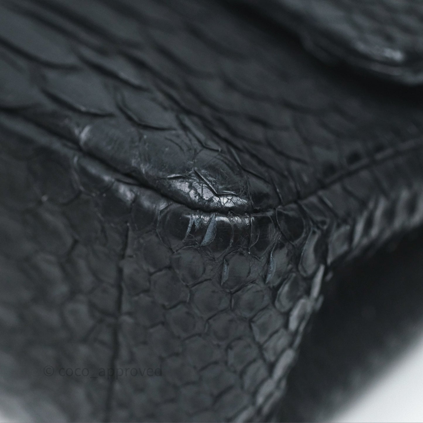 Chanel Classic M/L Medium Flap So Black Python Black Hardware