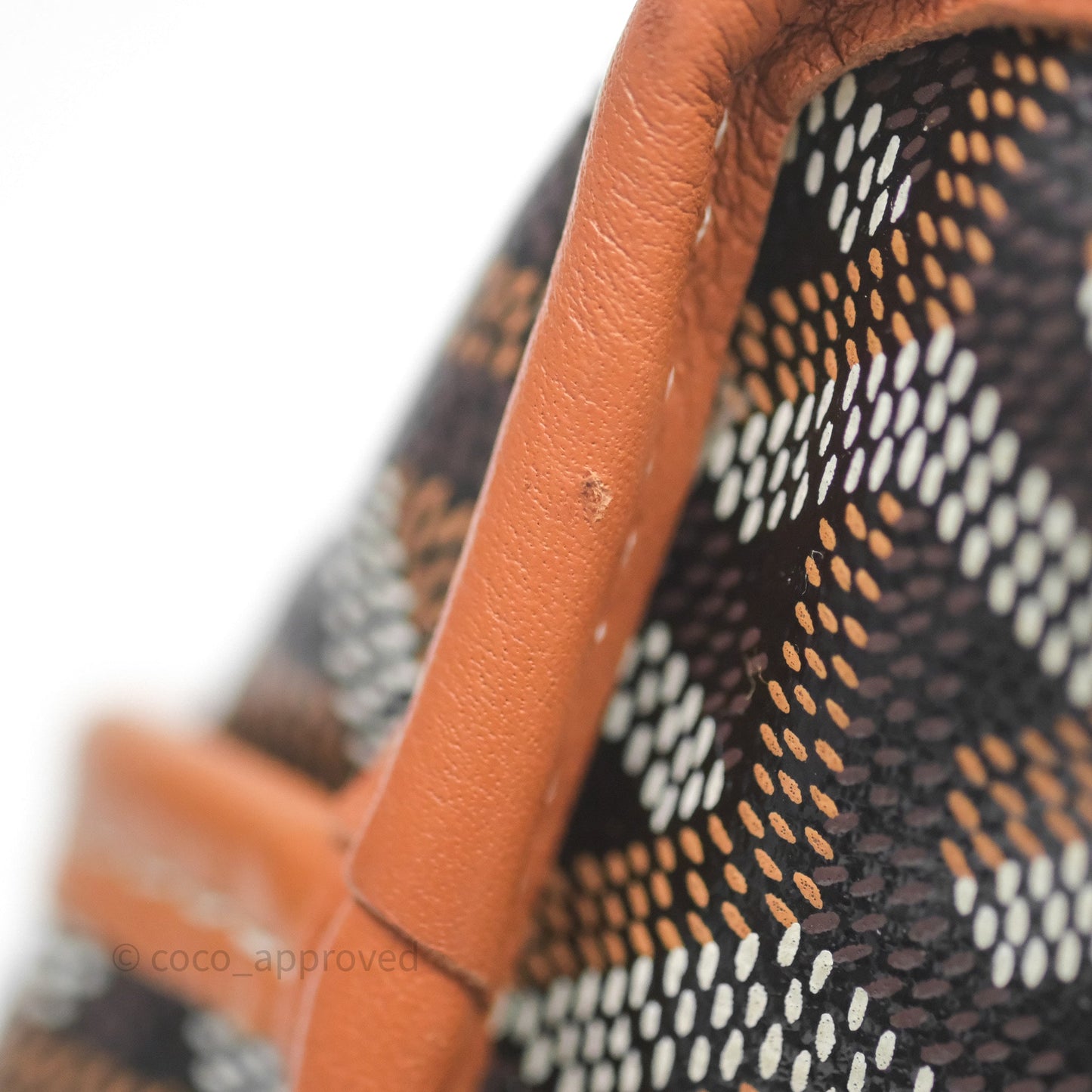Goyard Anjou Mini Bag Goyardine Canvas Black/Tan