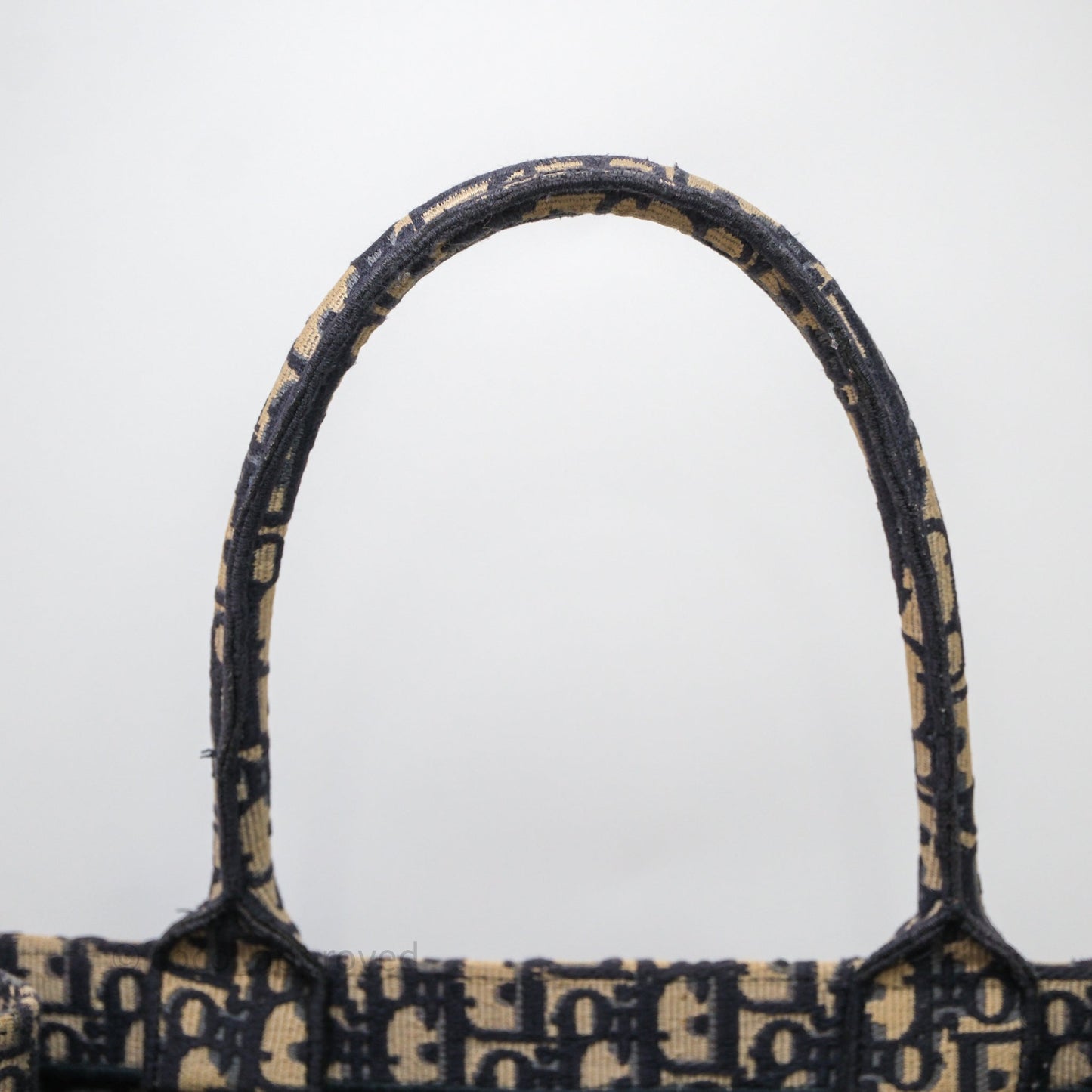 Christian Dior Medium Blue (Old Small) Dior Oblique Embroidery Canvas Book Tote