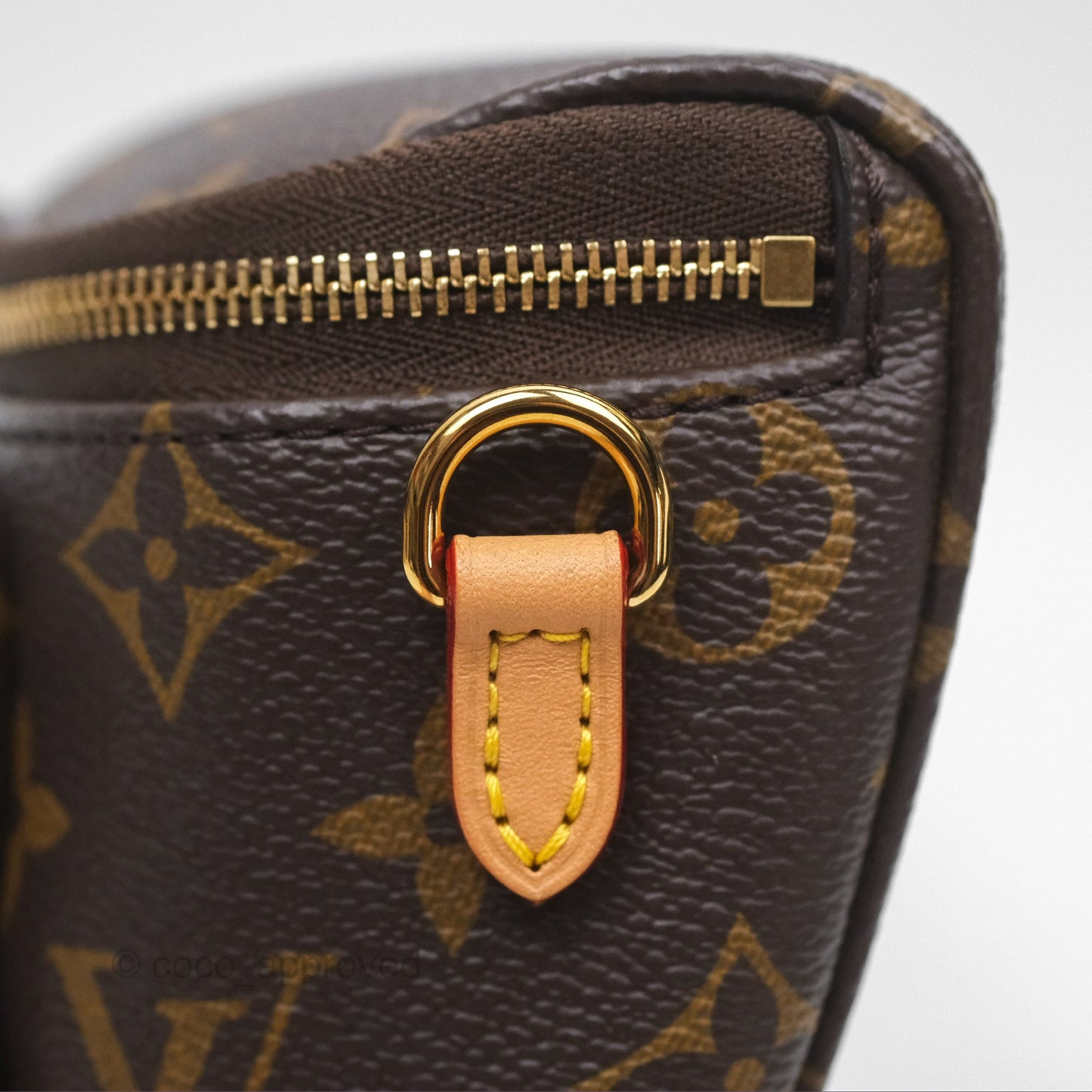 Louis Vitton Mini Bumbag in Monogram Canvas