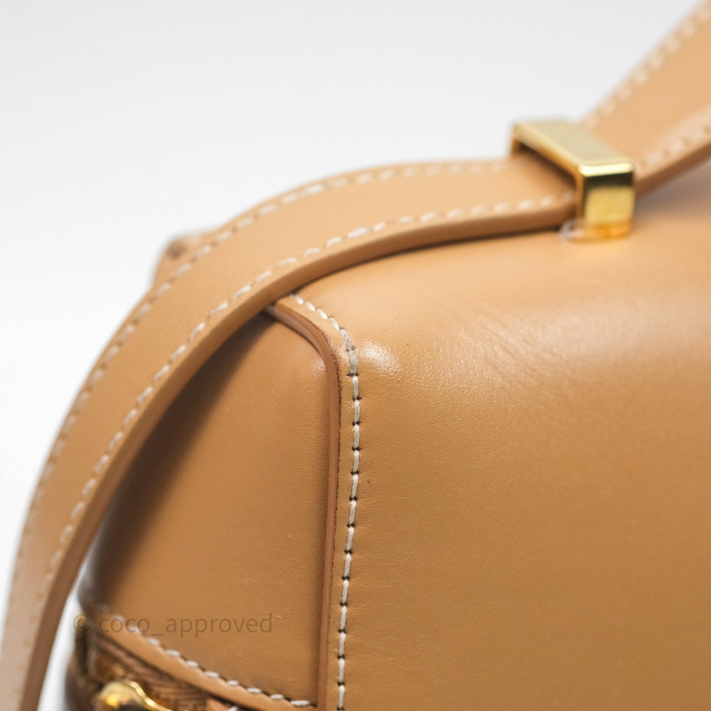 Loro Piana Extra Bag L27 Light Bamboo Calfskin Gold Hardware
