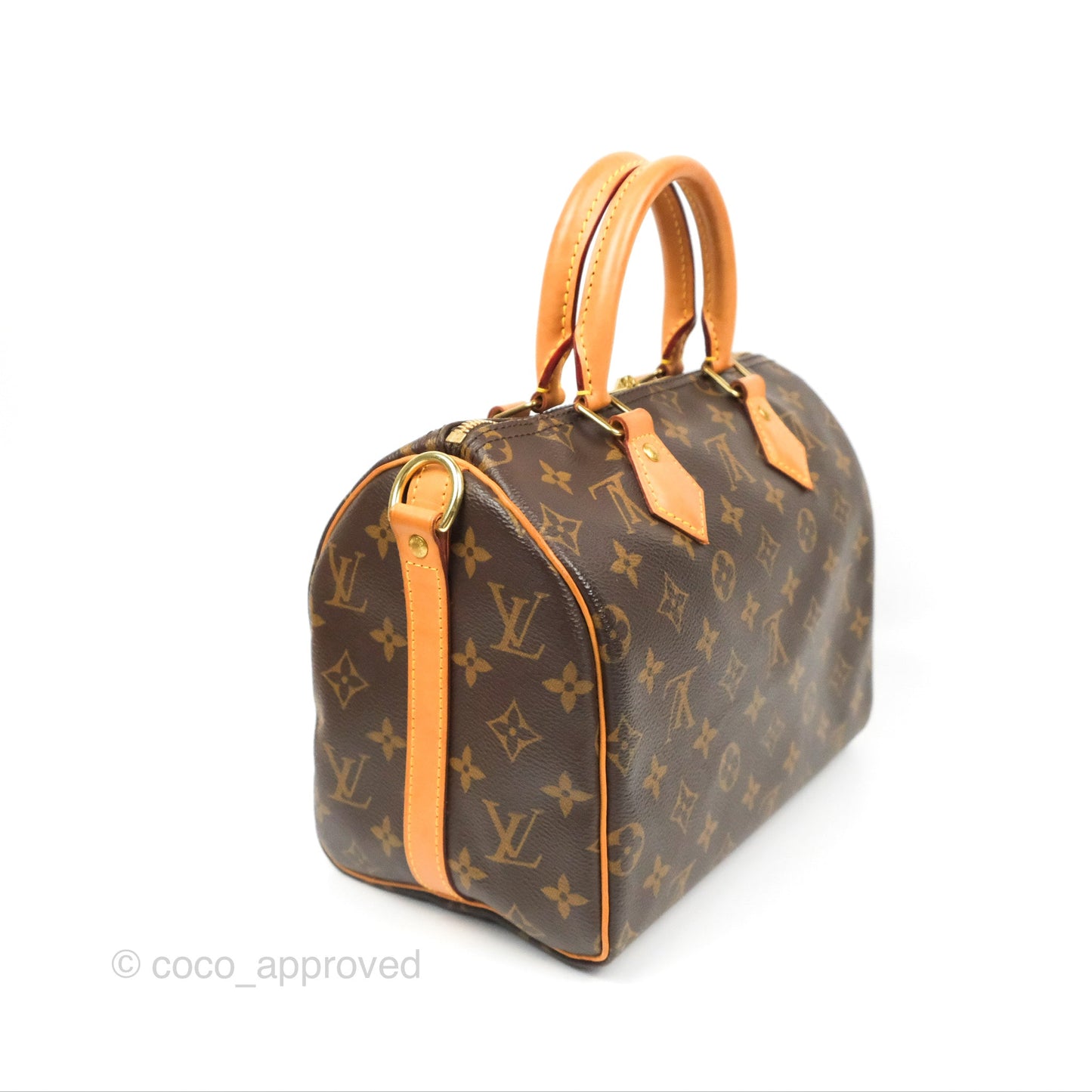 Louis Vuitton Speedy 25 Monogram Canvas